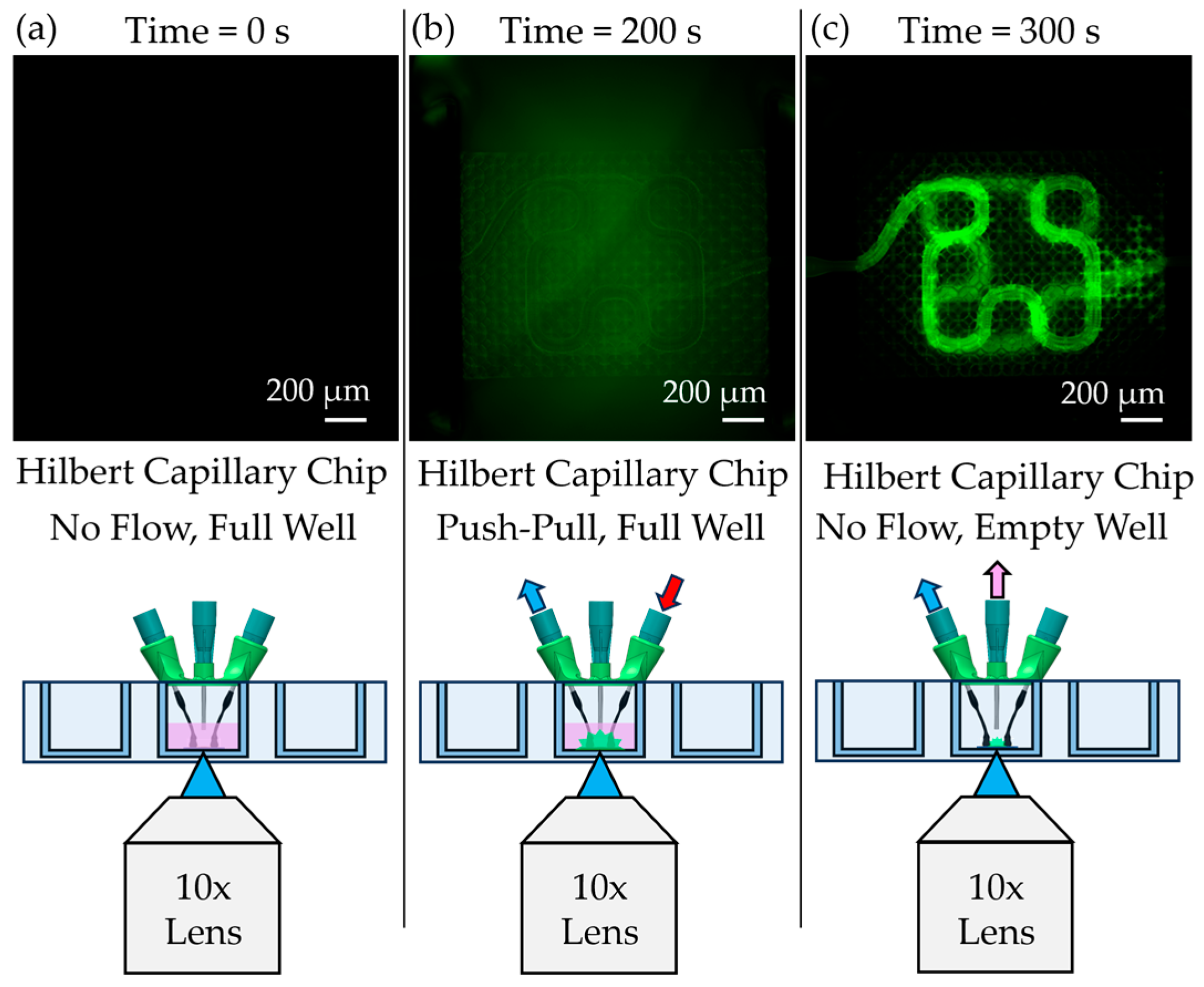 Micromachines 16 00691 g010