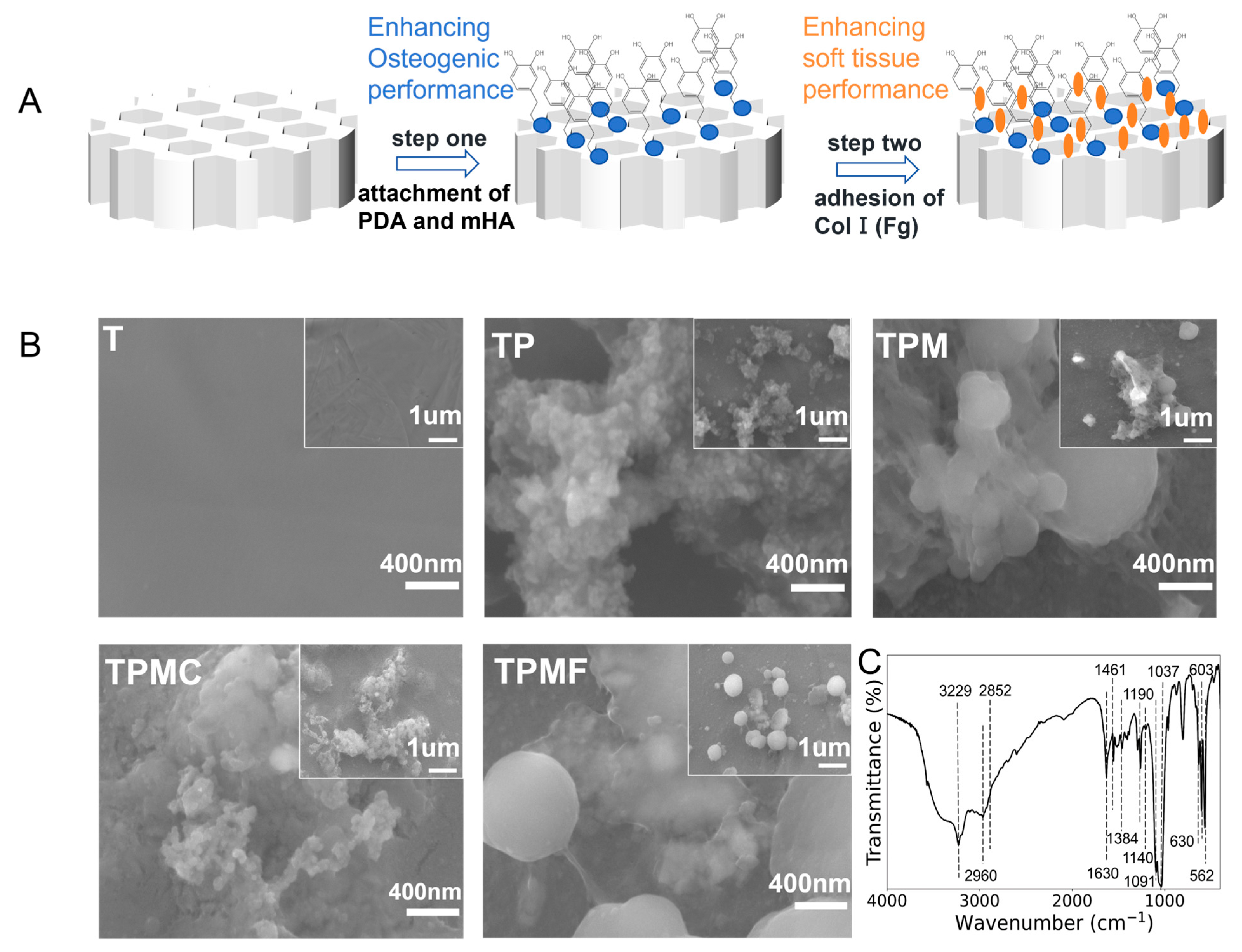 Micromachines 16 00692 g001