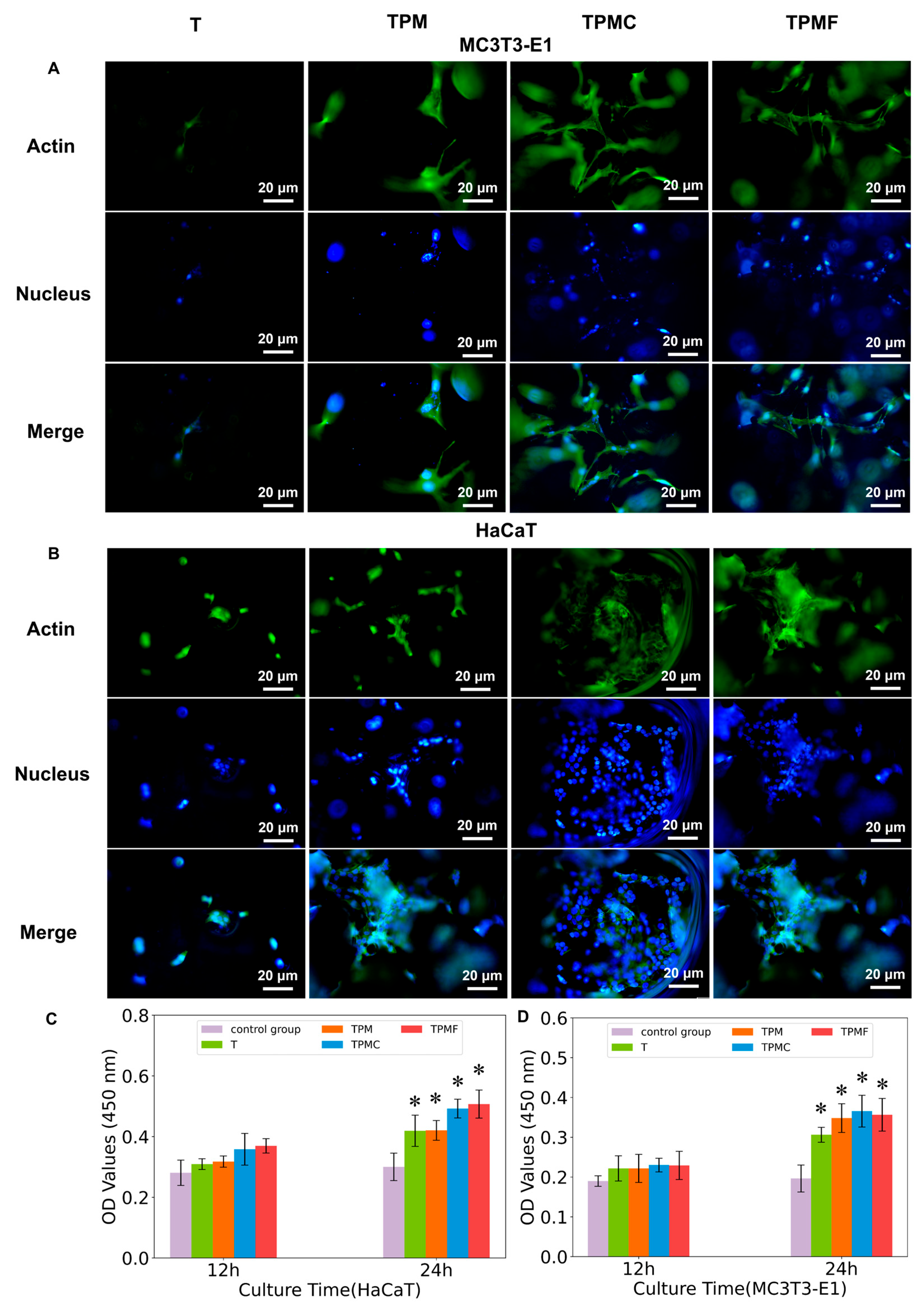 Micromachines 16 00692 g005