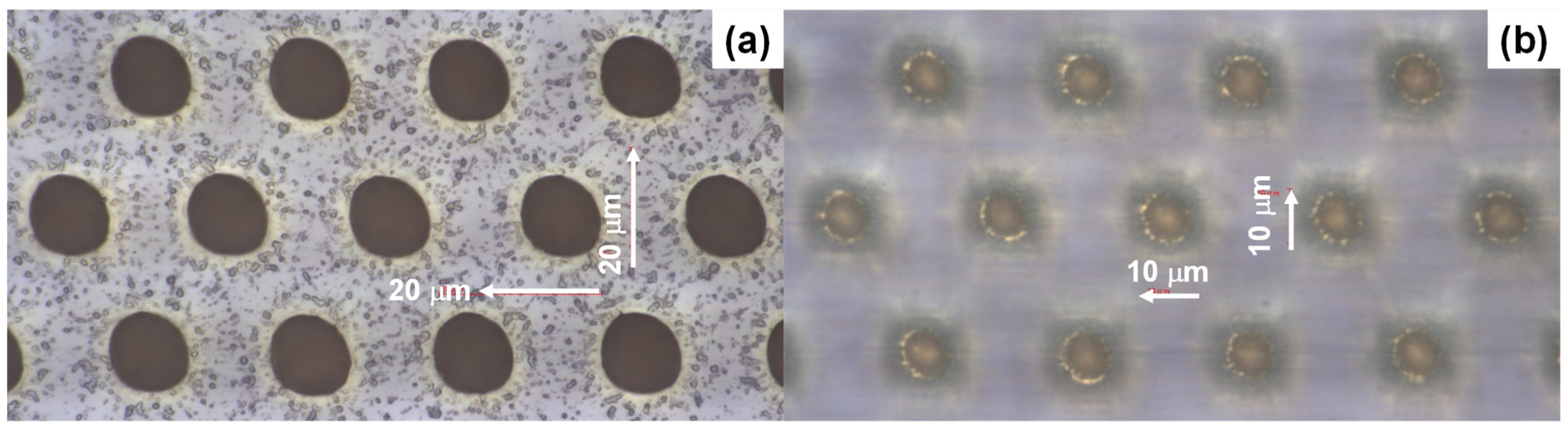 Micromachines 16 00696 g004