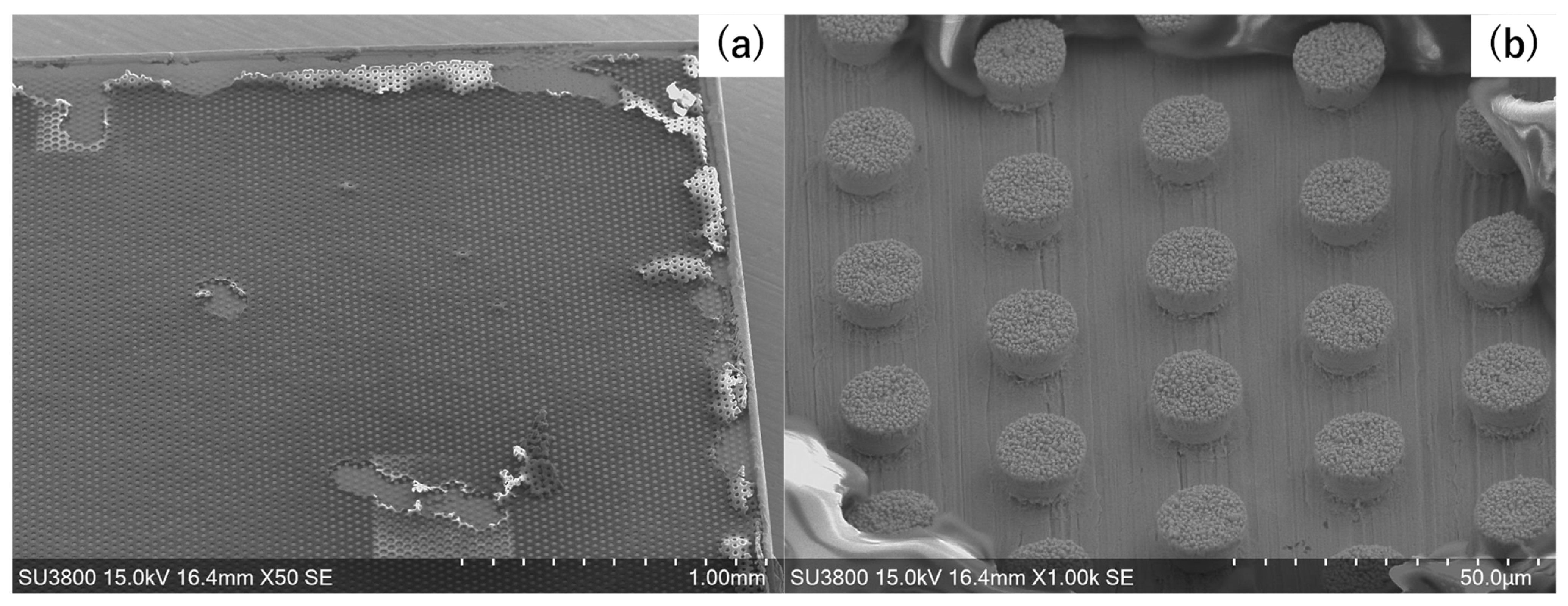 Micromachines 16 00696 g006