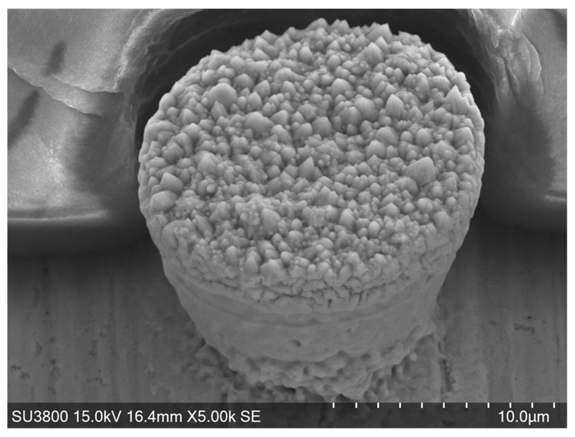 Micromachines 16 00696 g007