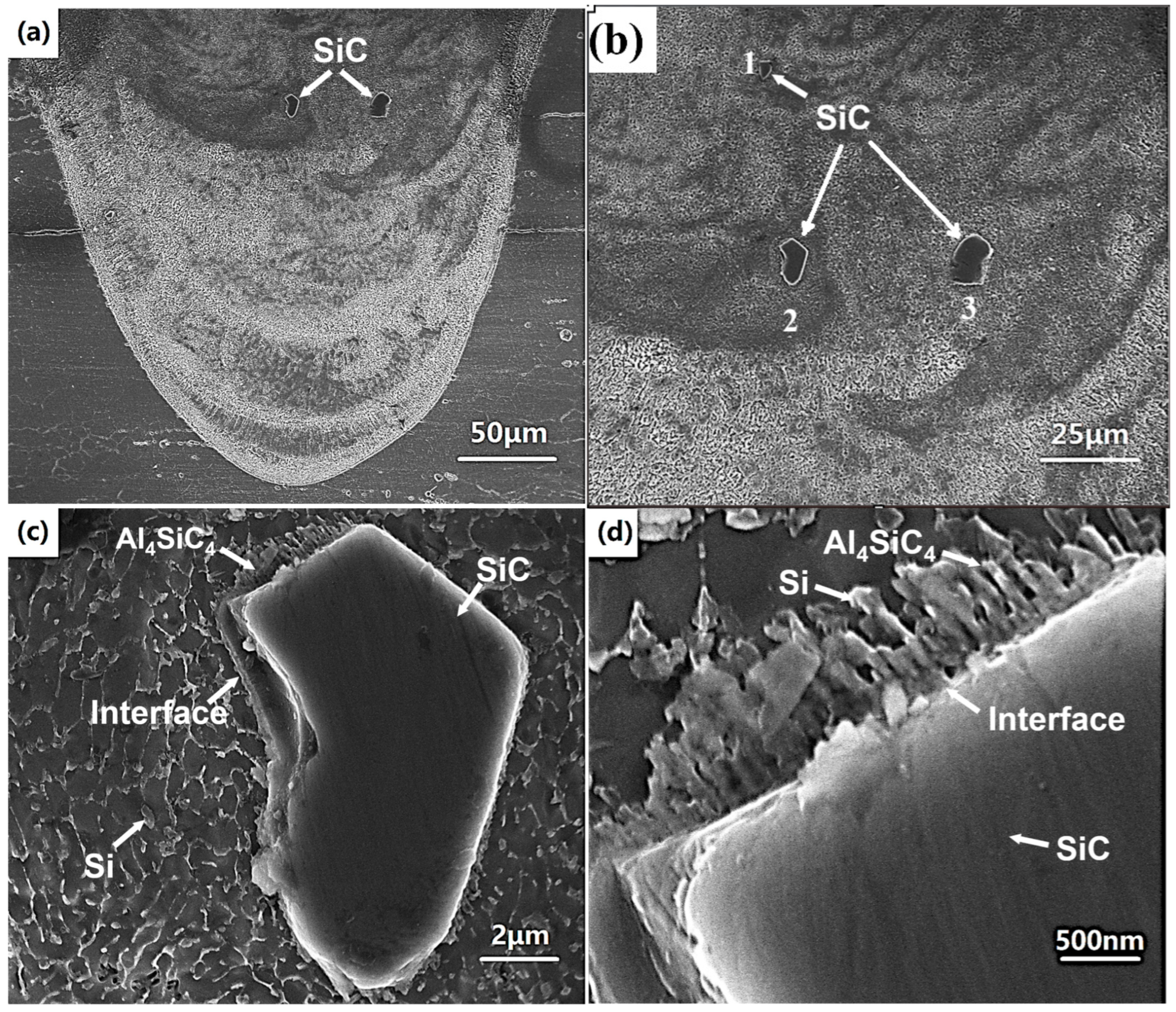 Micromachines 16 00697 g007