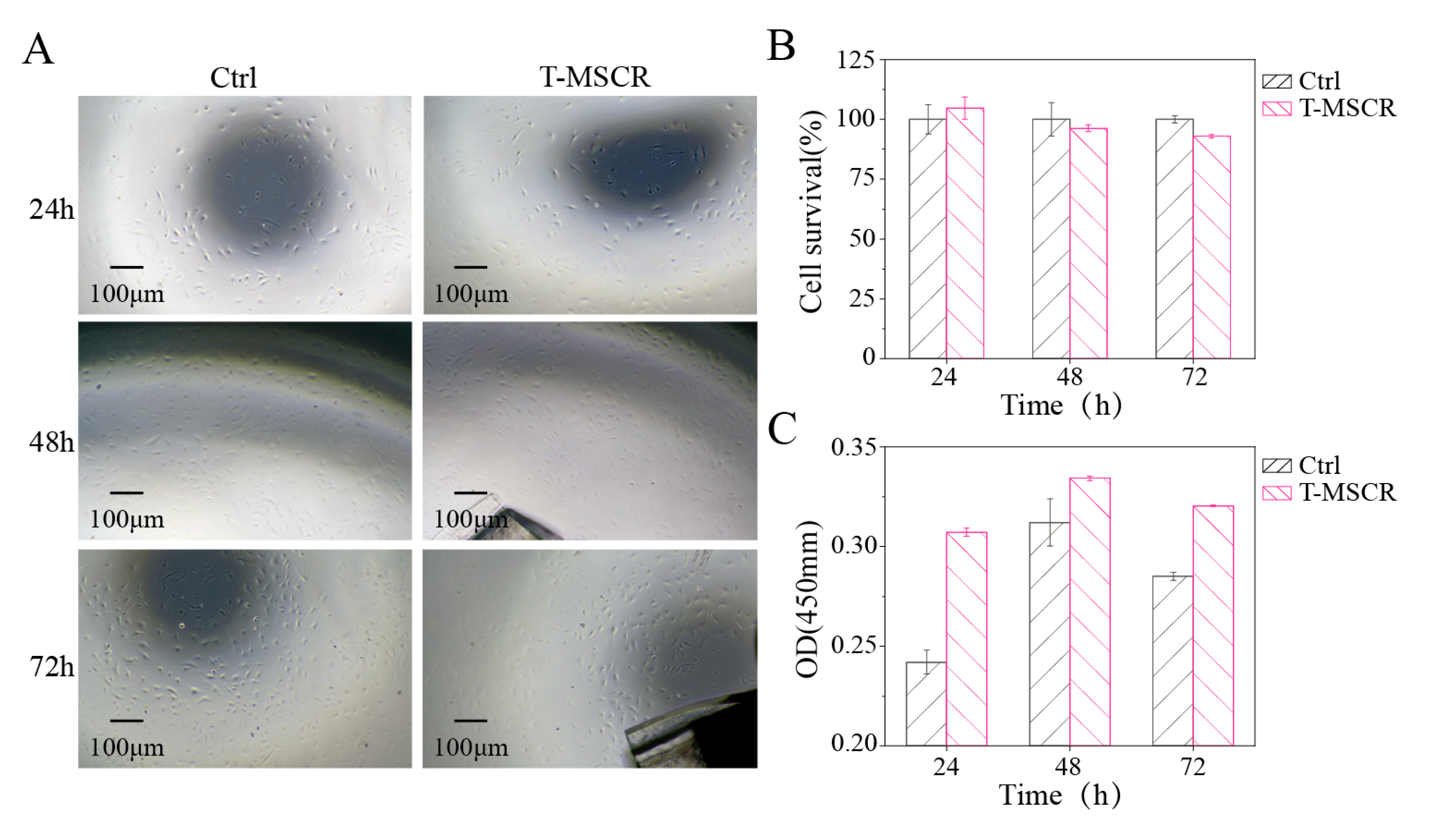 Micromachines 16 00701 g007