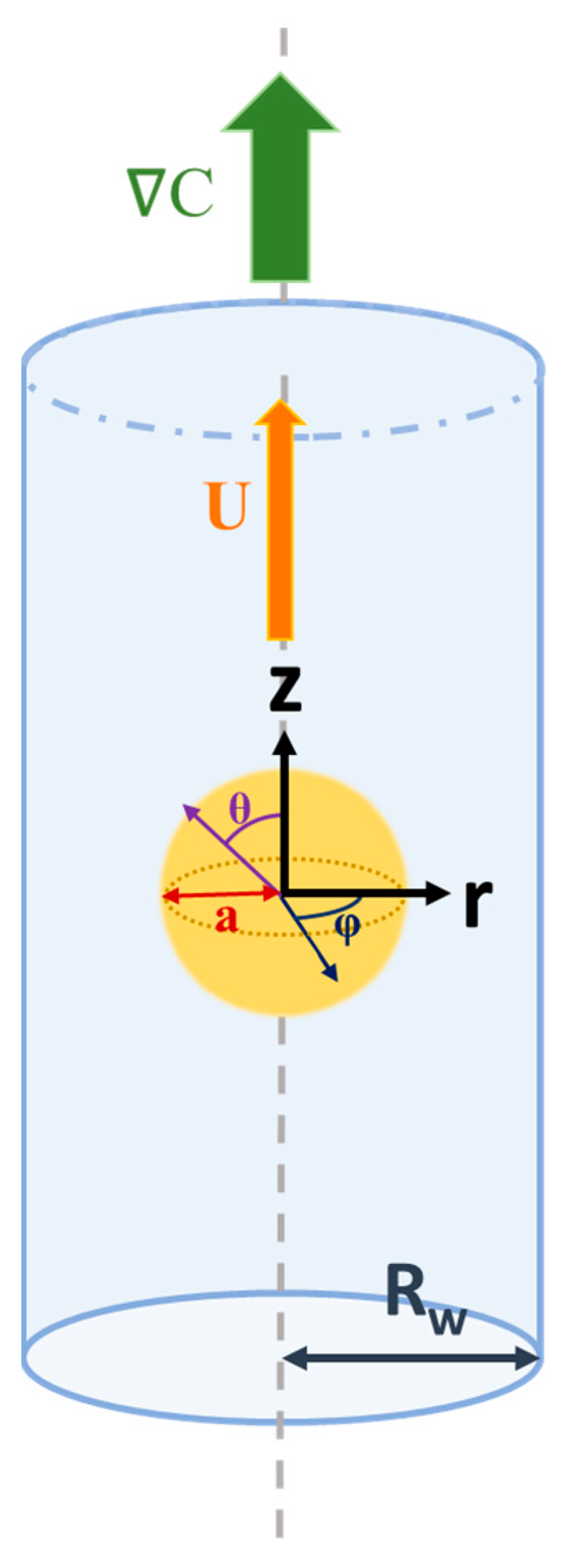 Micromachines 16 00707 g001