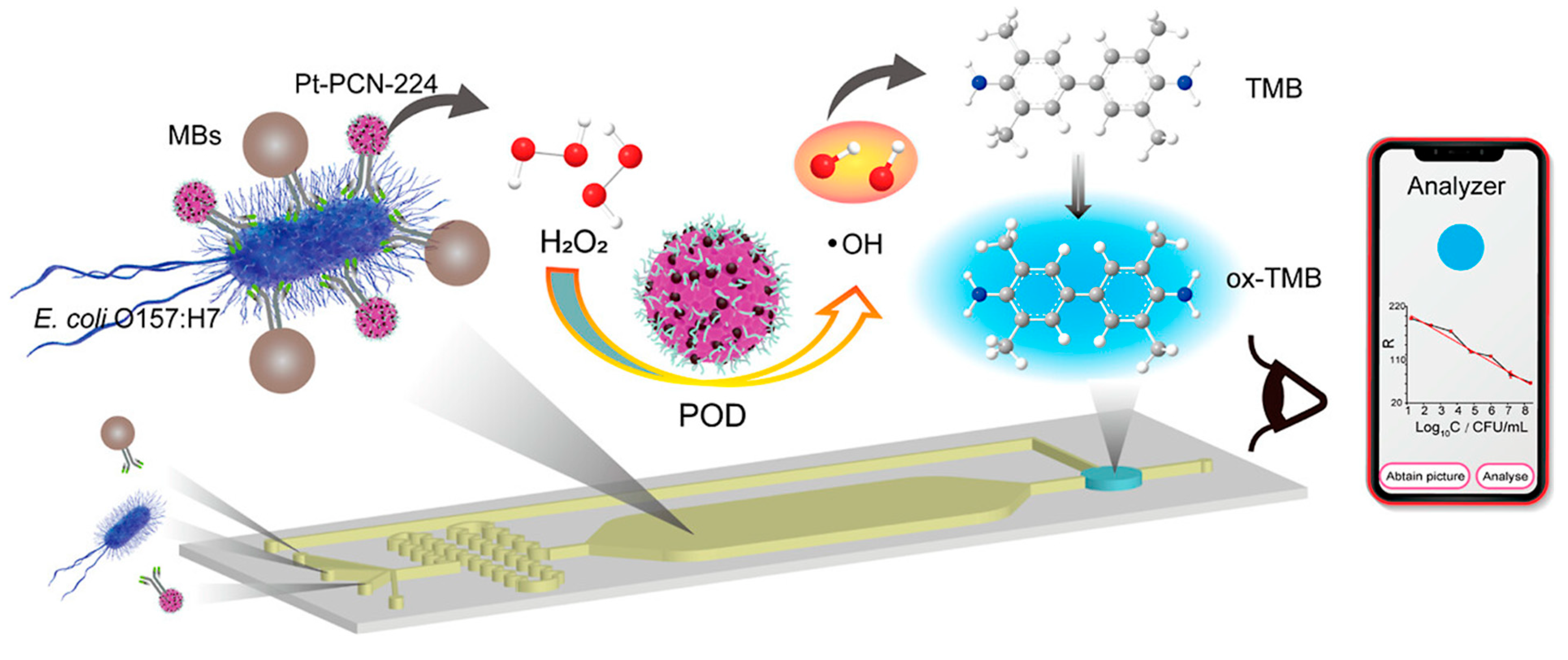 Micromachines 16 00736 g003