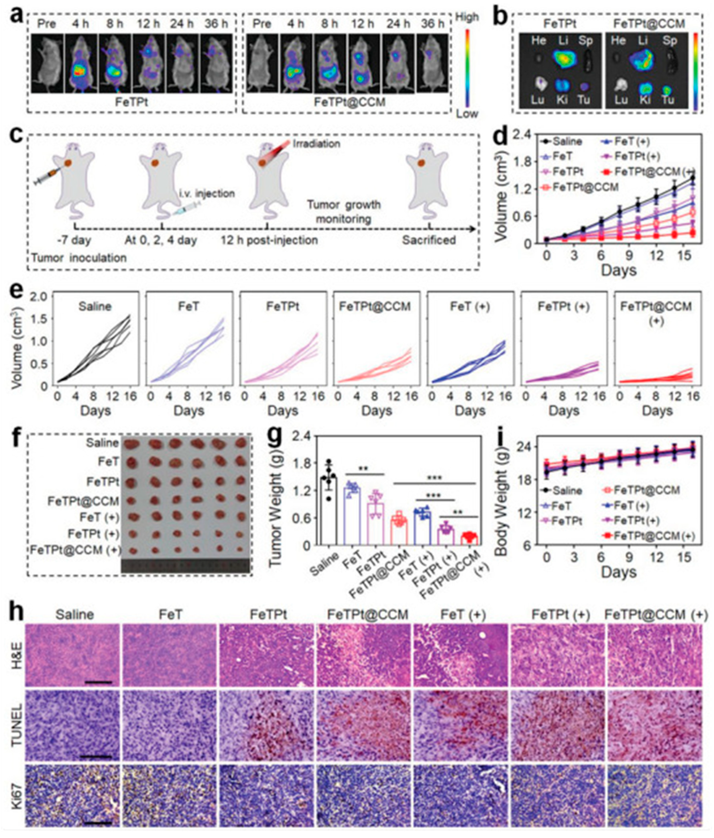 Micromachines 16 00736 g005