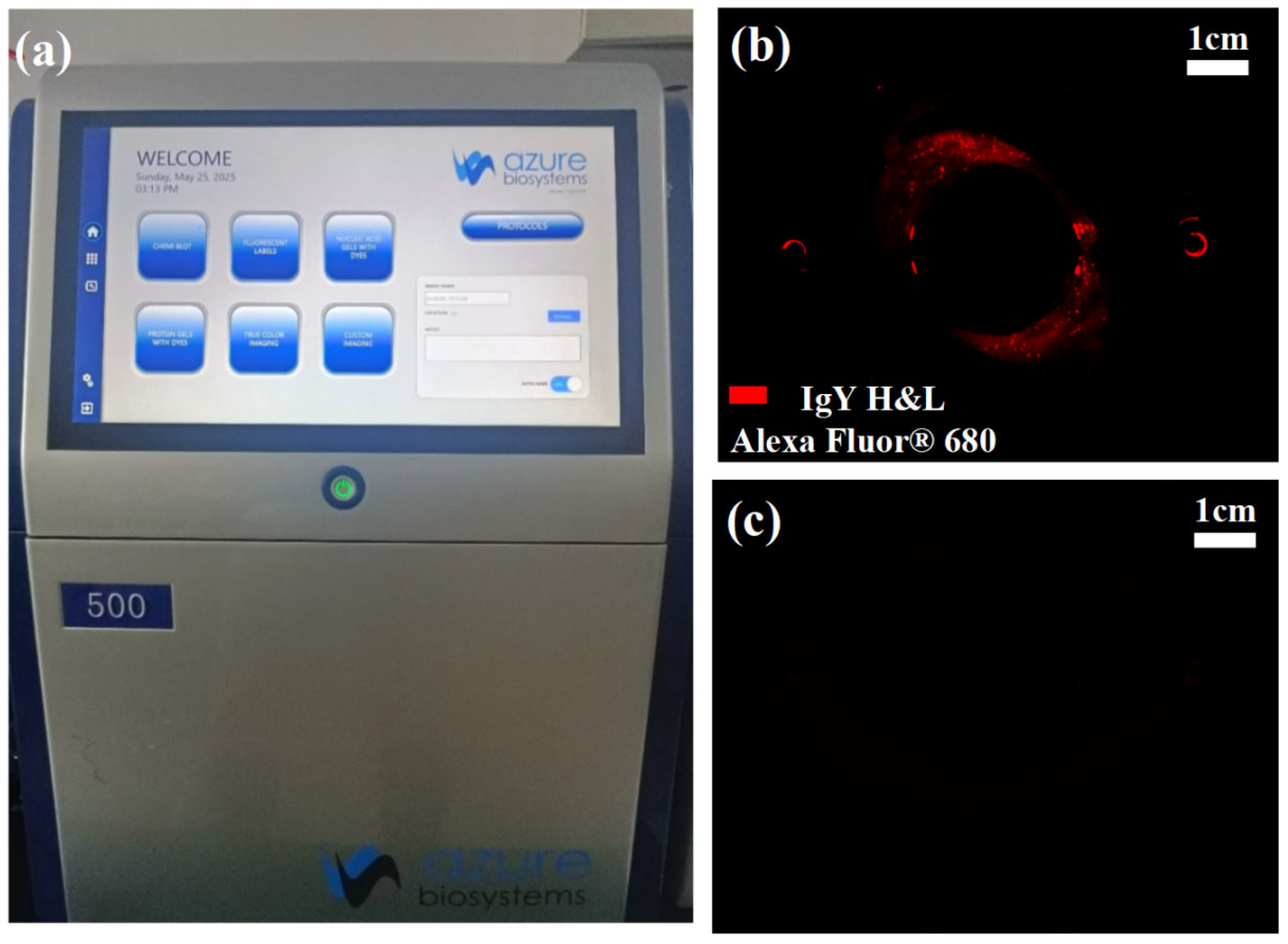 Micromachines 16 00774 g015