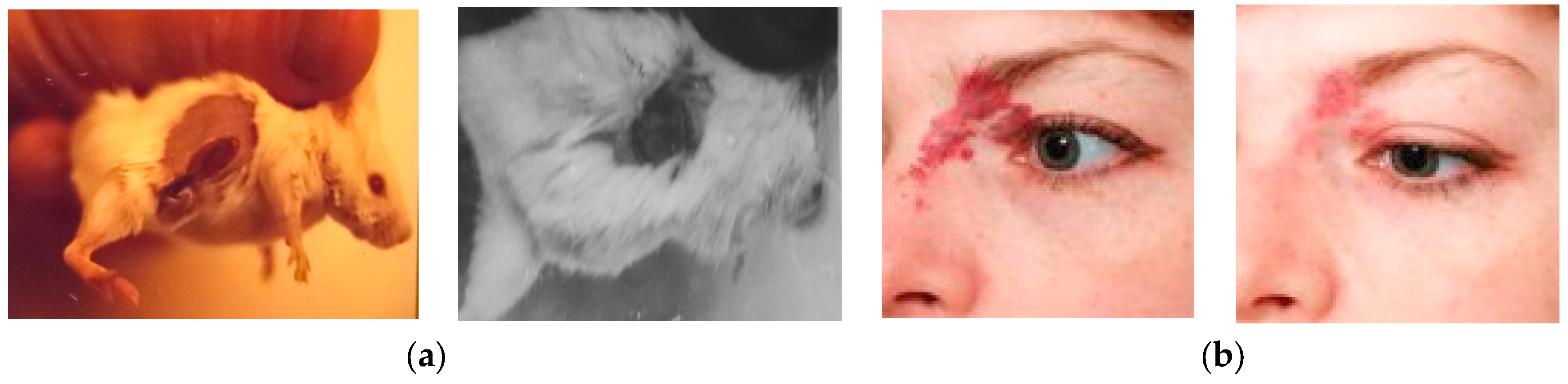 Micromachines 16 00792 g014