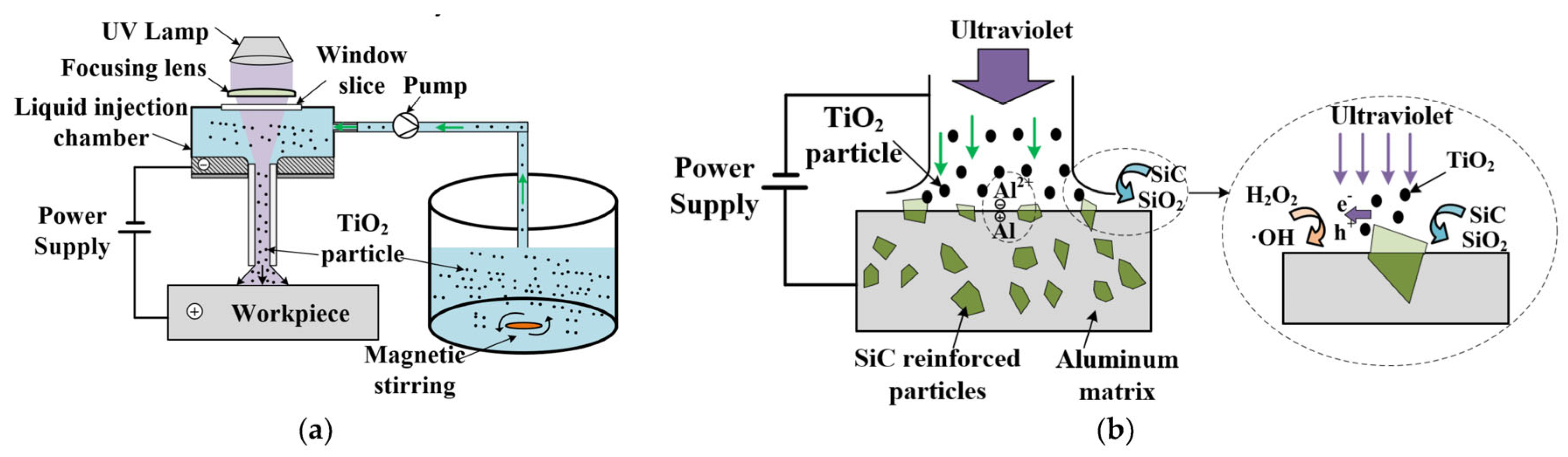 Micromachines 16 00794 g003