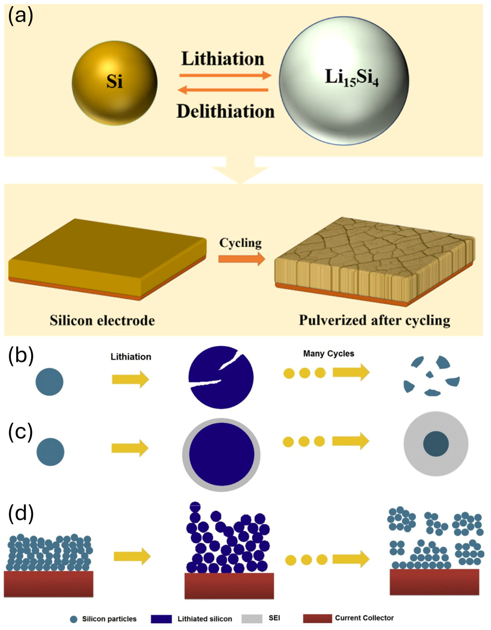 Micromachines 16 00800 g002