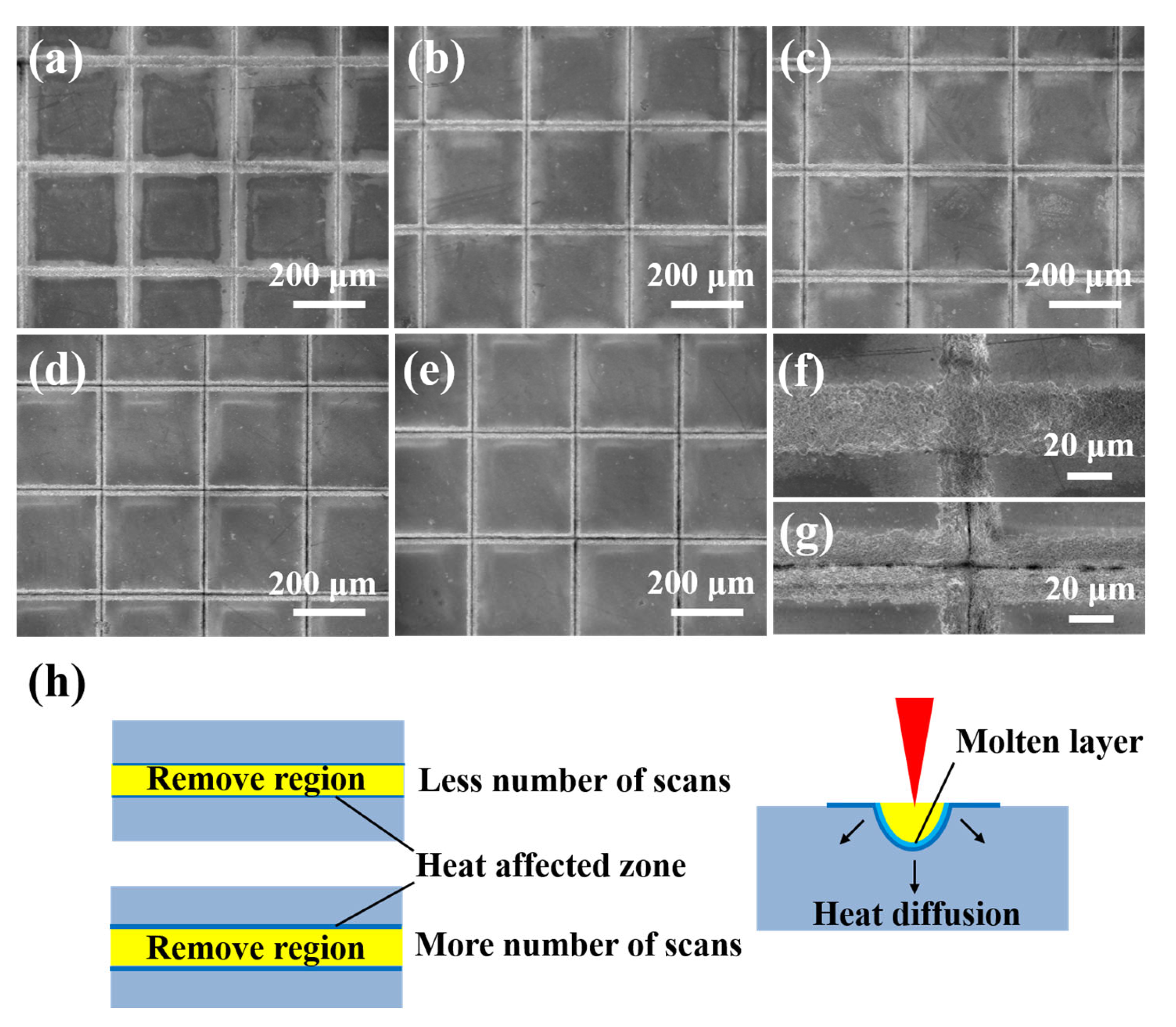 Micromachines 16 00819 g004