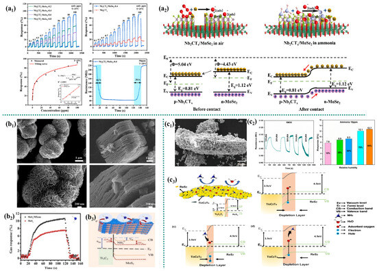 MXene-Based Gas Sensors for NH3 Detection: Recent
