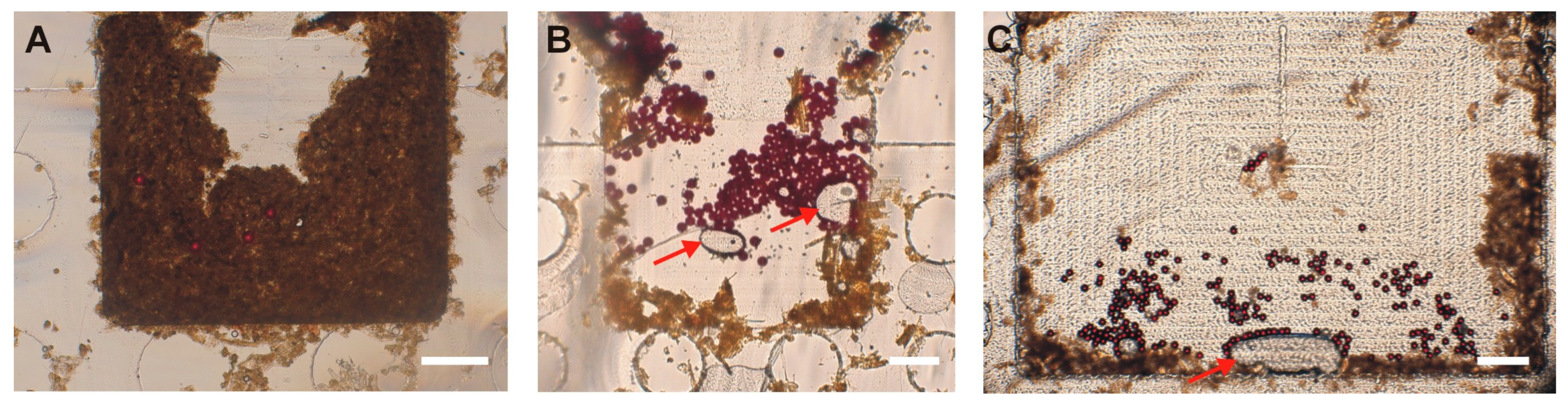 Micromachines 16 00847 g003