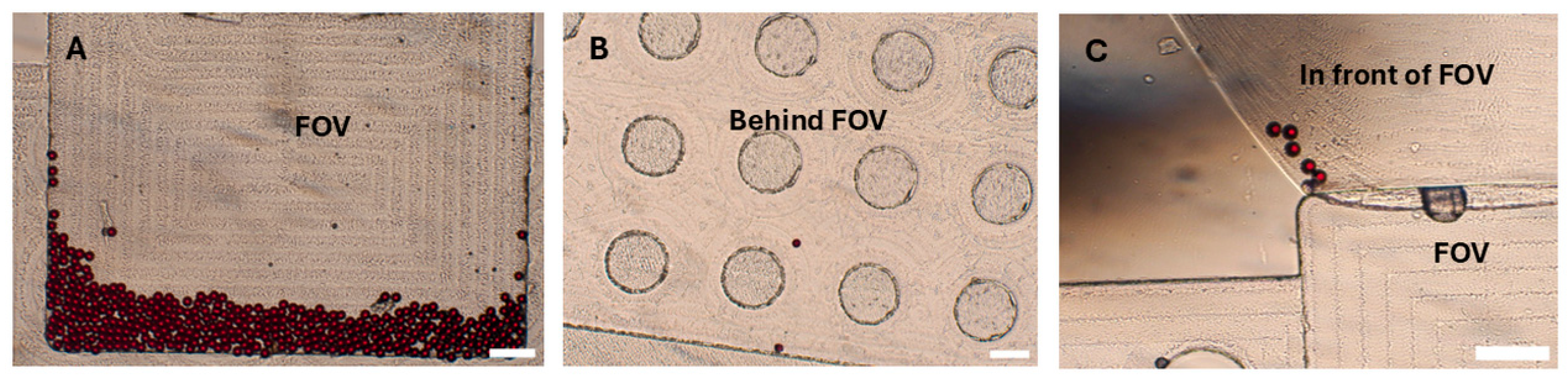 Micromachines 16 00847 g004