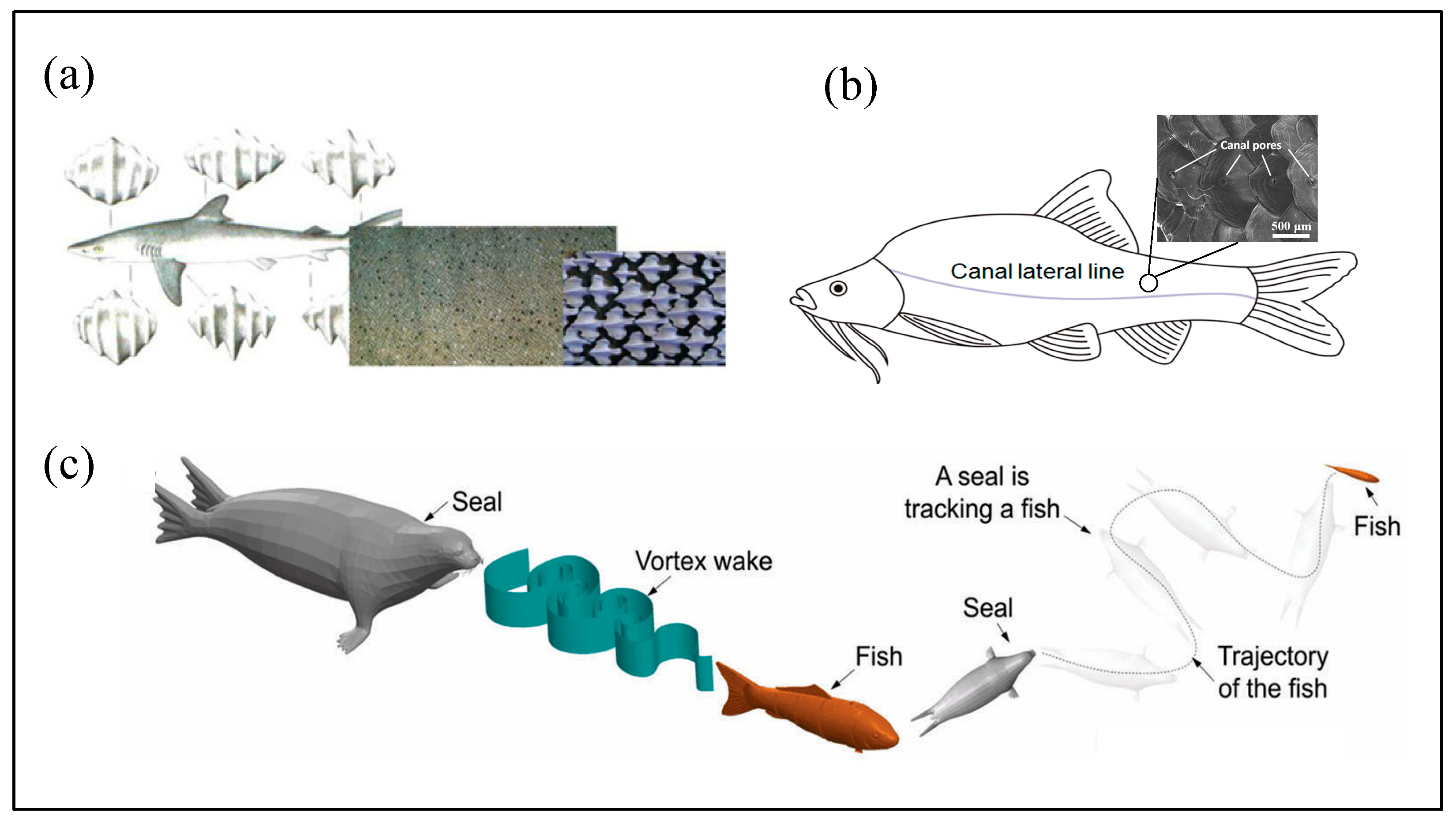 Micromachines 16 00870 g011