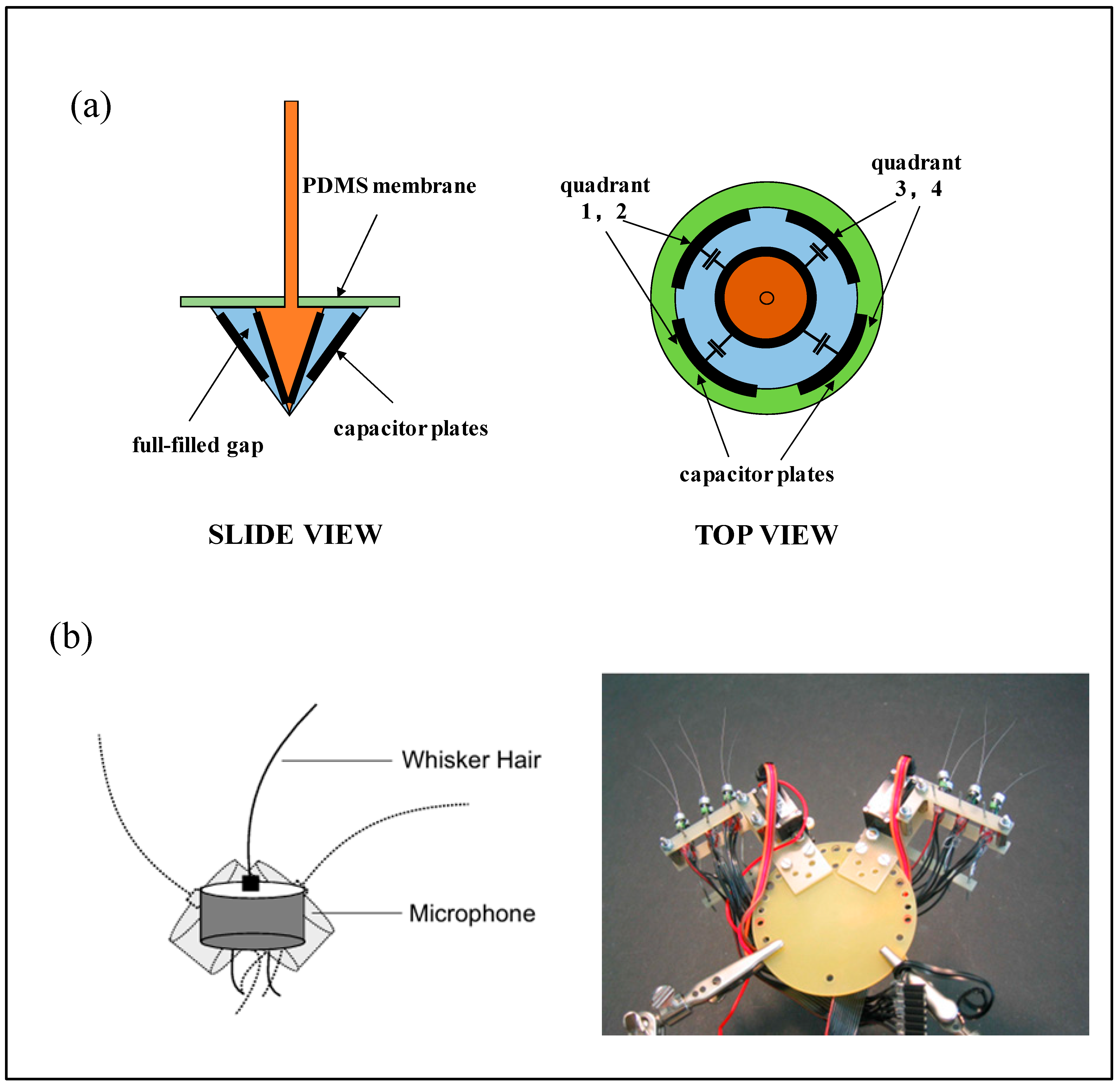 Micromachines 16 00870 g012