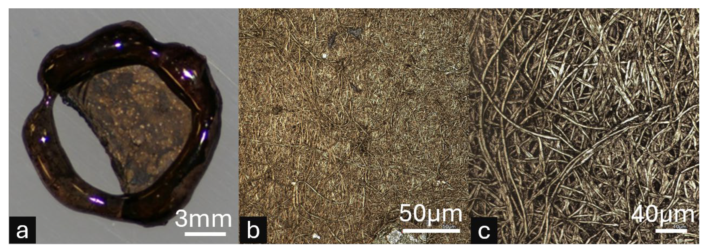 Micromachines 16 00887 g006