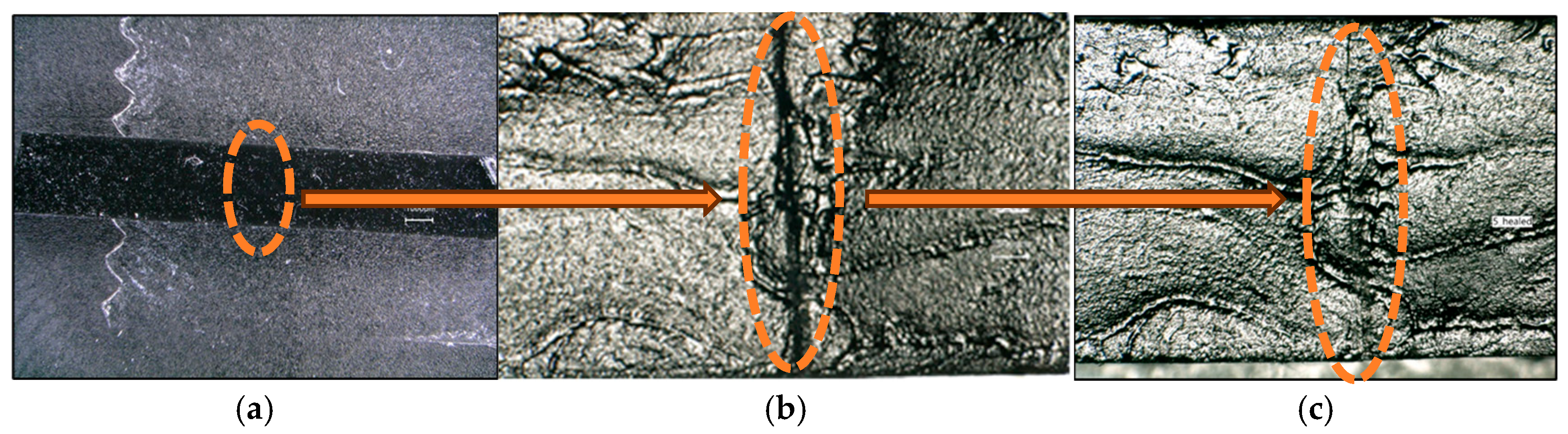 Micromachines 16 00889 g013