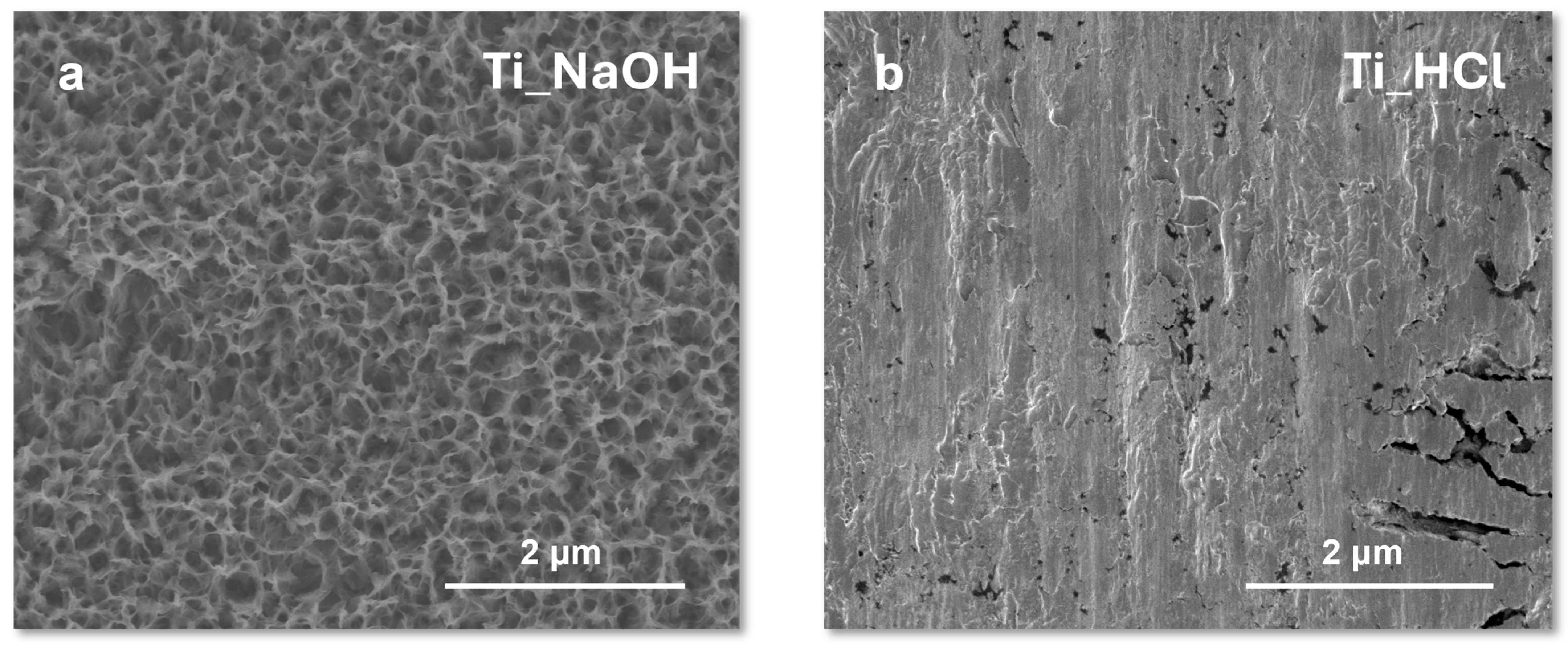 Micromachines 16 00899 g002