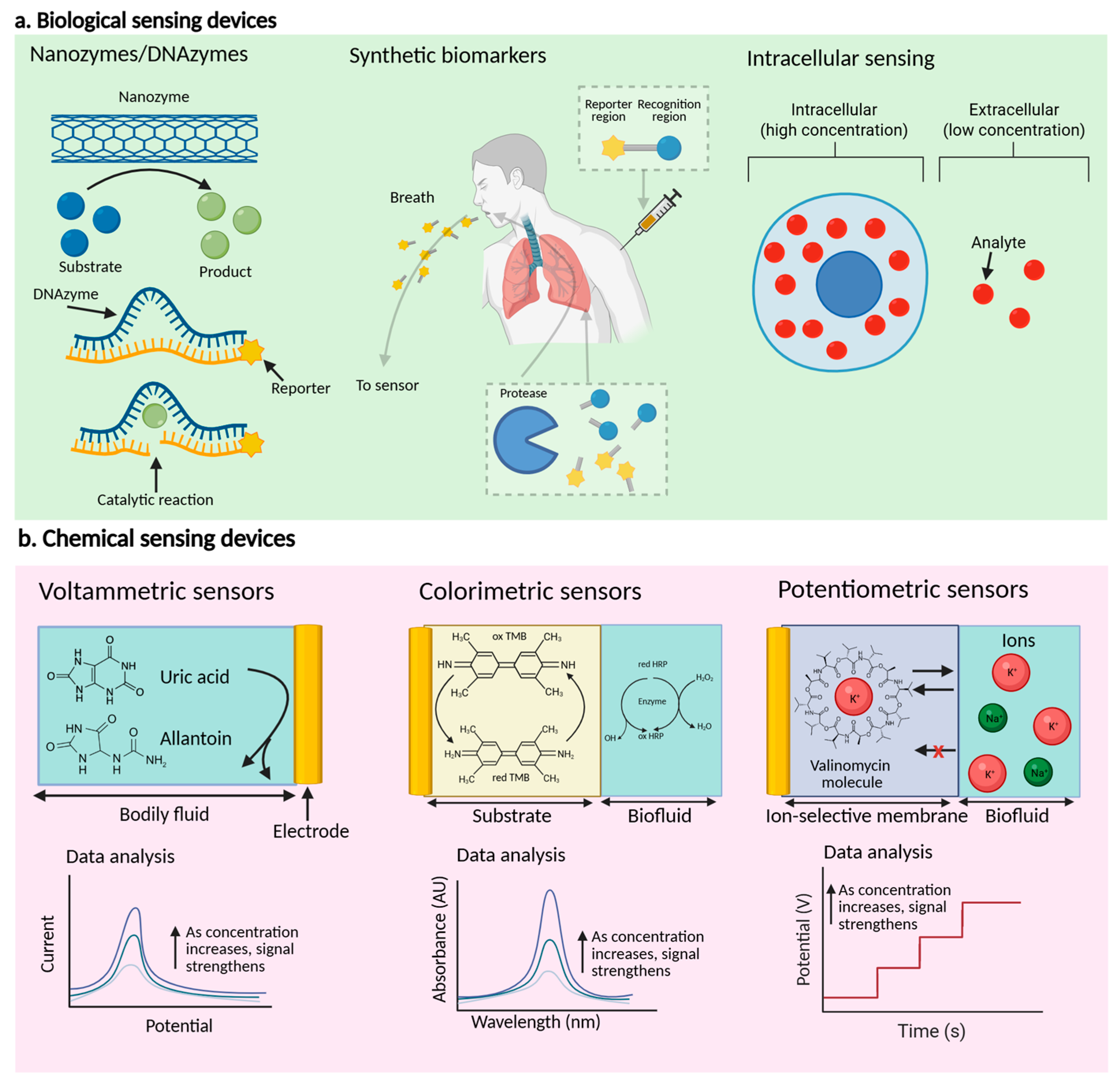 Micromachines 16 00900 g002