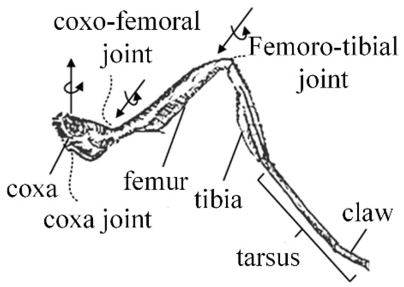Micromachines 16 00903 g003