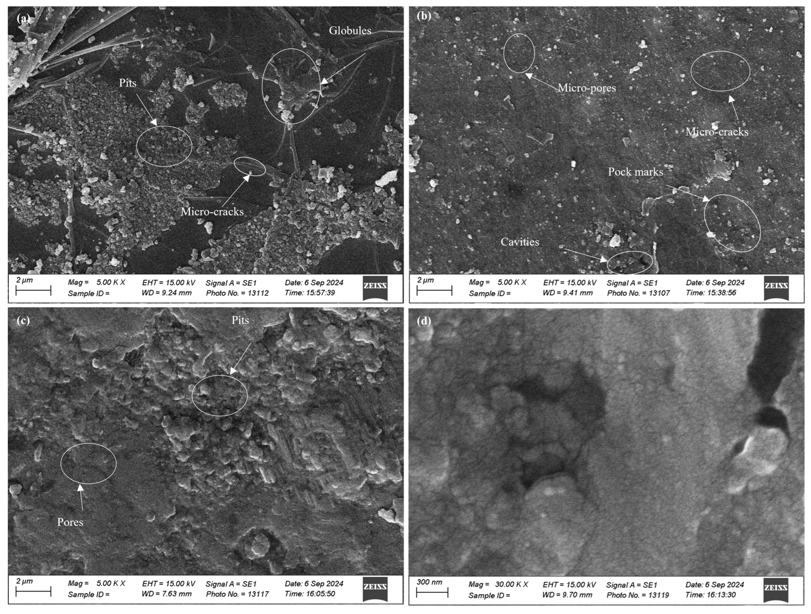Micromachines 16 00913 g004 Micromachines 16 00913 g004