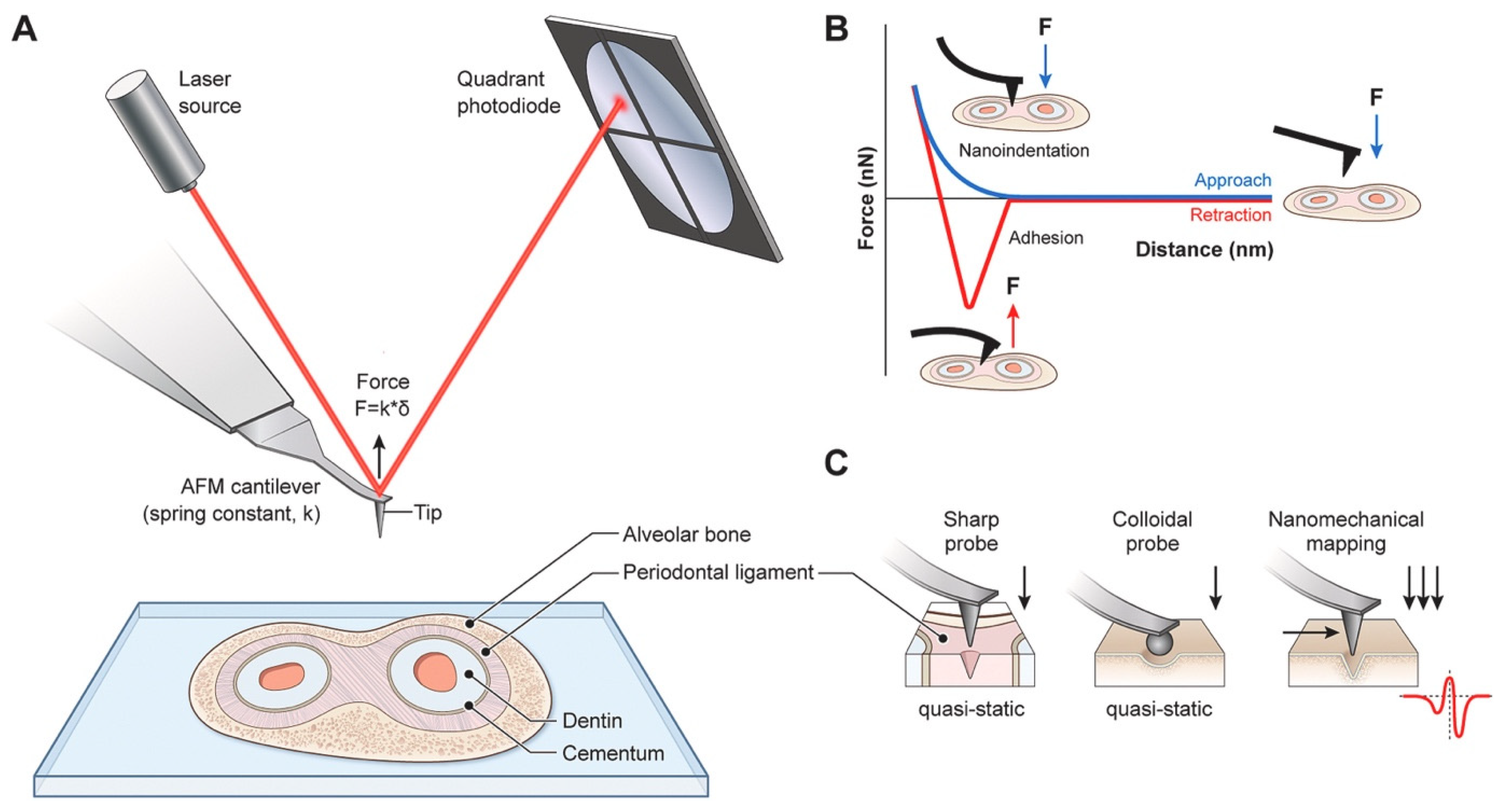 Micromachines 16 00918 g015 Micromachines 16 00918 g015