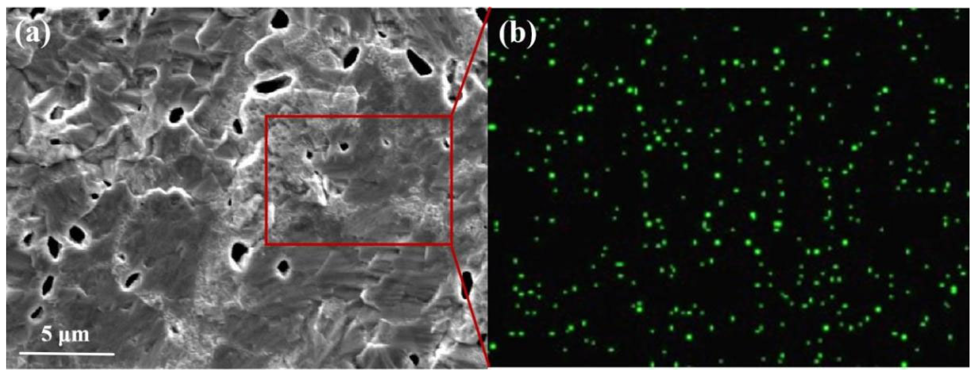 Micromachines 16 00922 g006 Micromachines 16 00922 g006