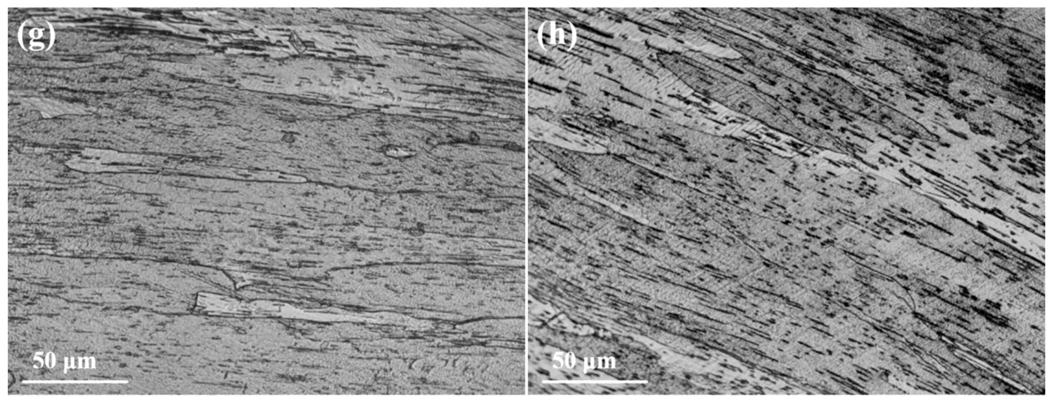 Micromachines 16 00922 g007b Micromachines 16 00922 g007b