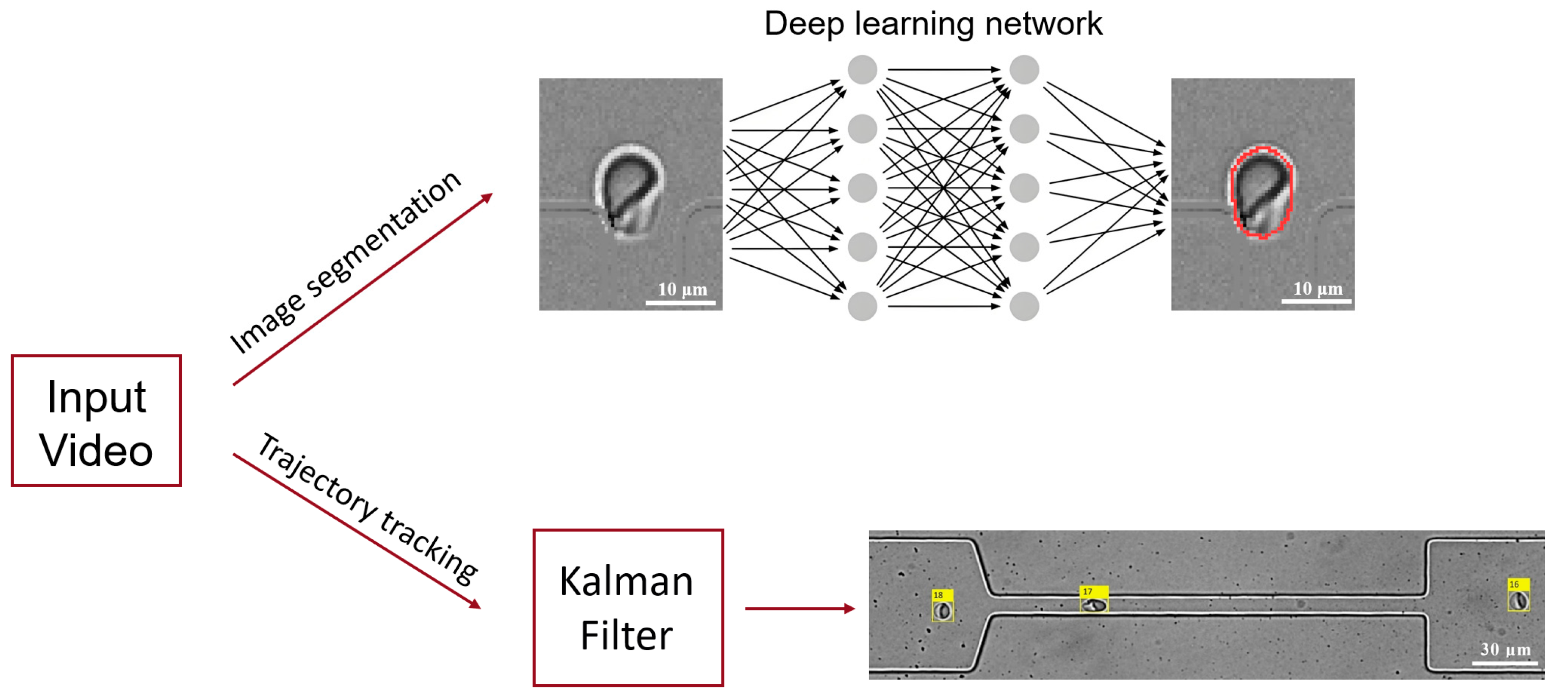 Micromachines 16 00957 g001