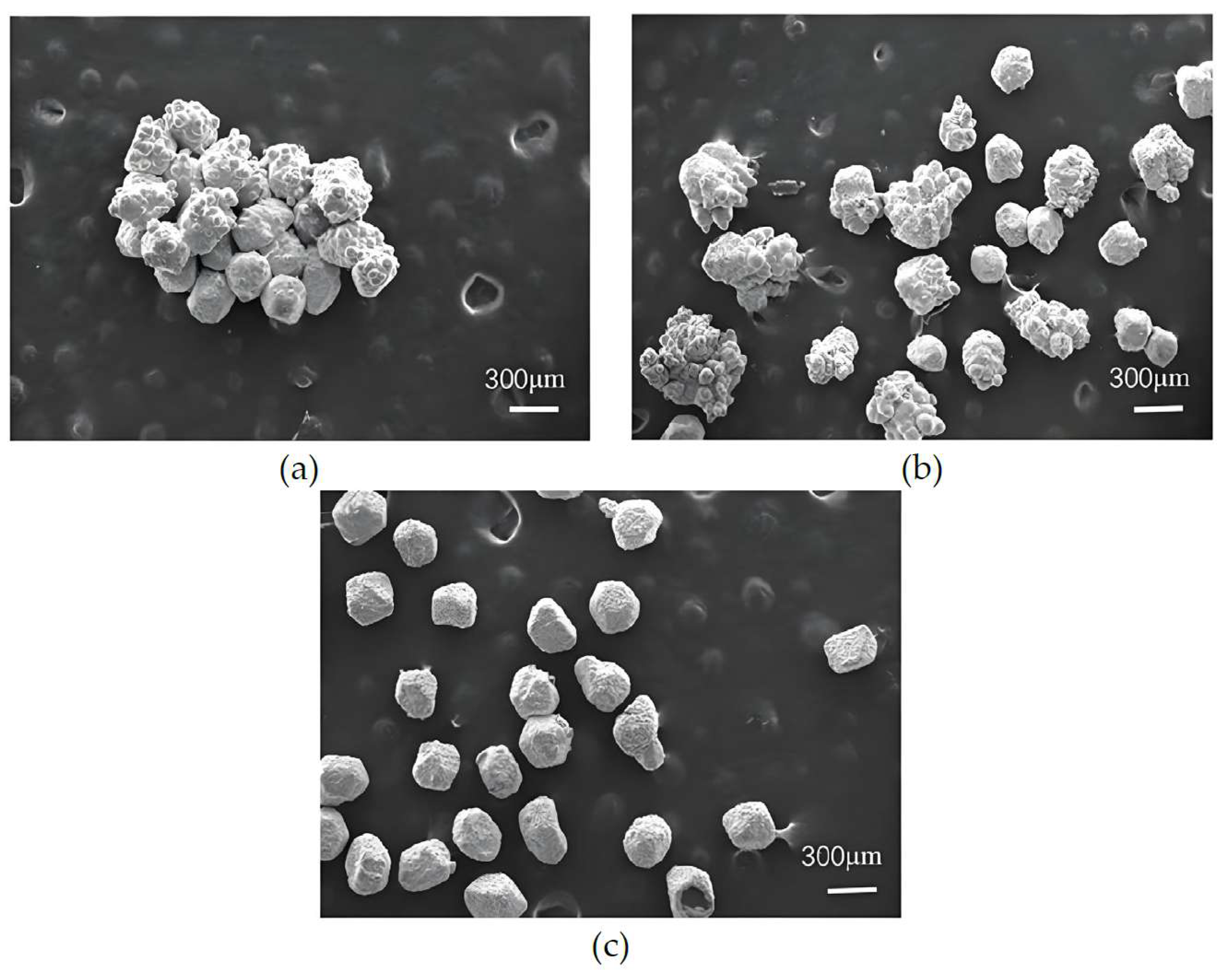 Micromachines 16 00962 g005