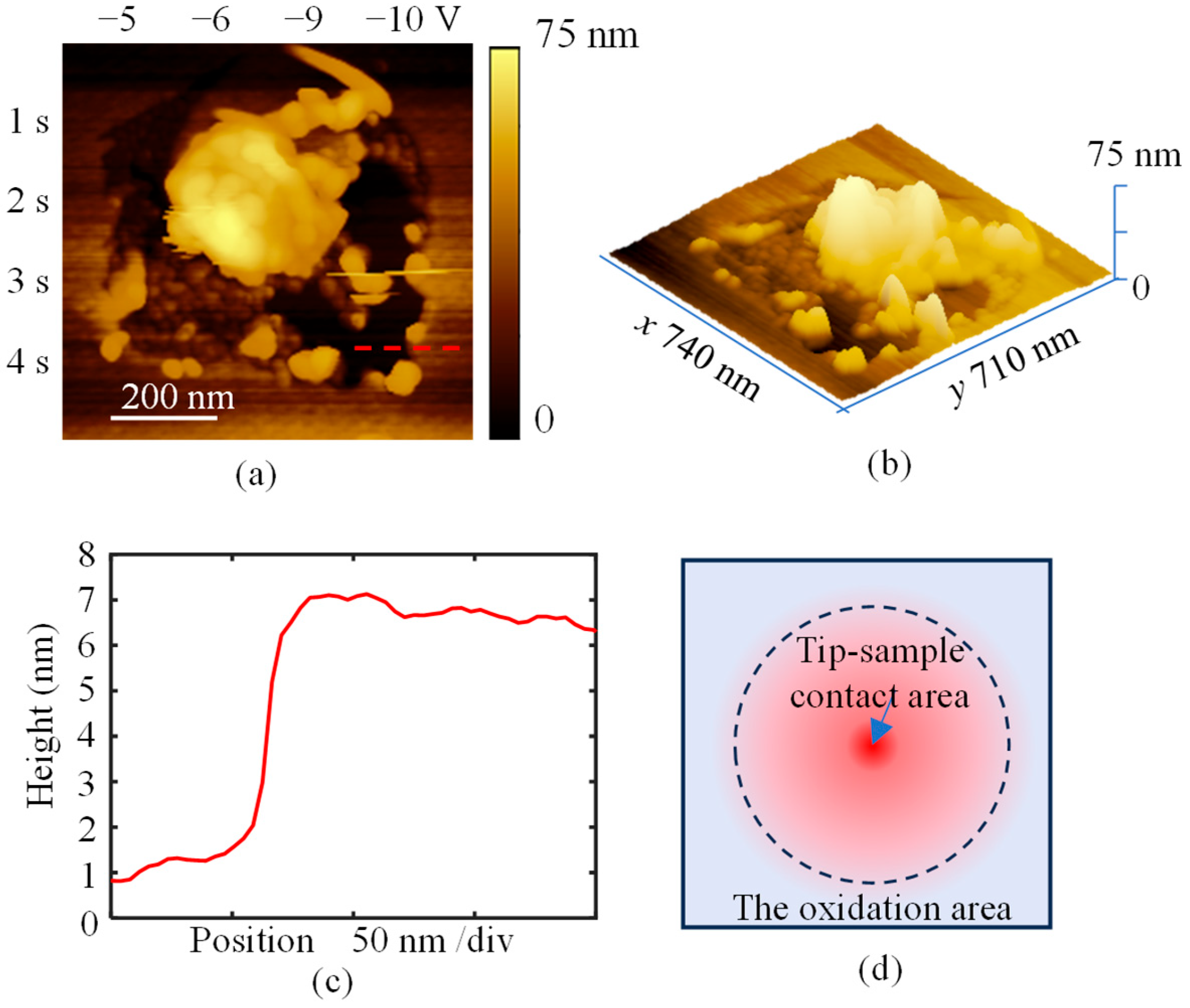 Micromachines 16 00981 g005