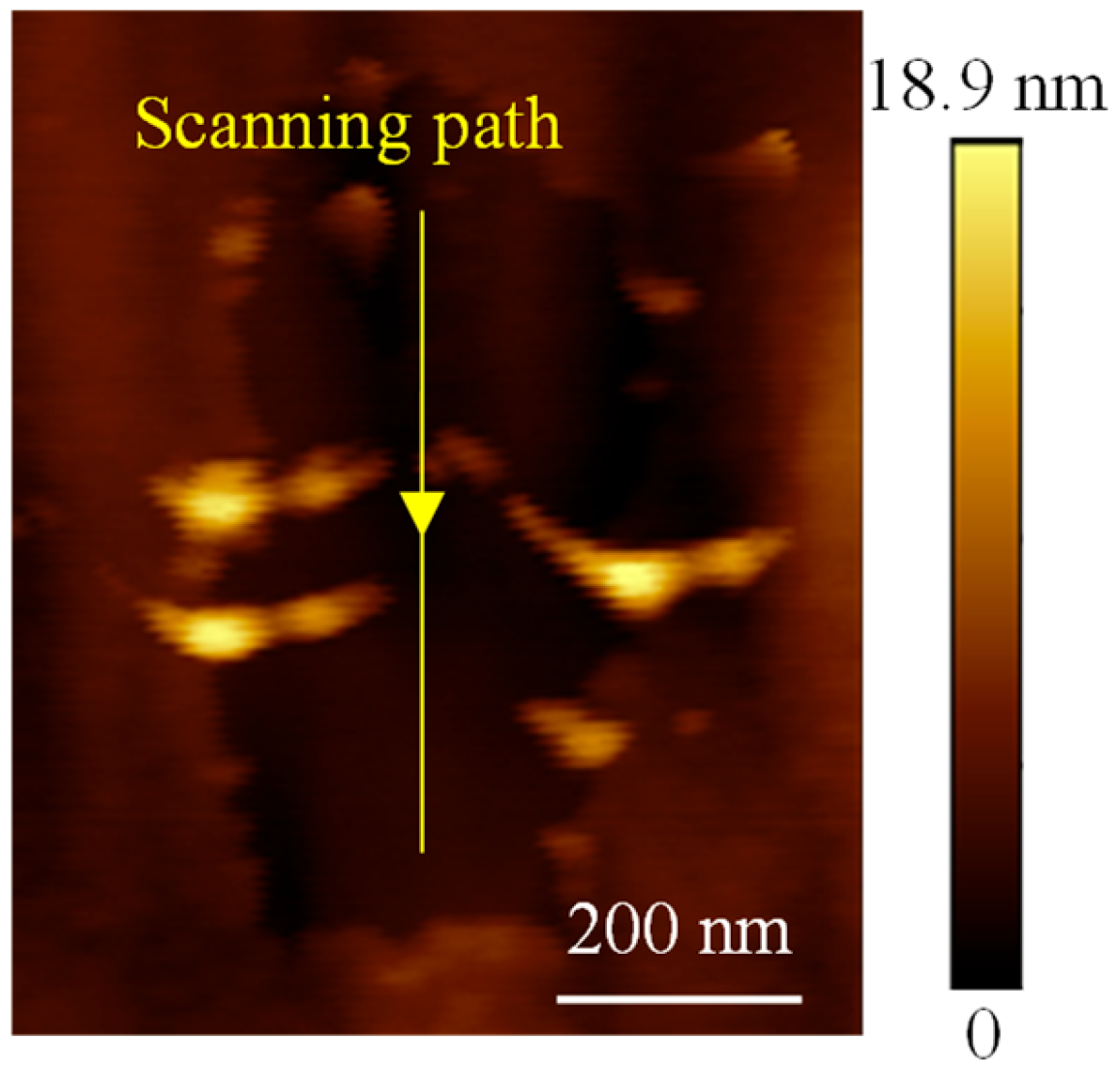 Micromachines 16 00981 g006