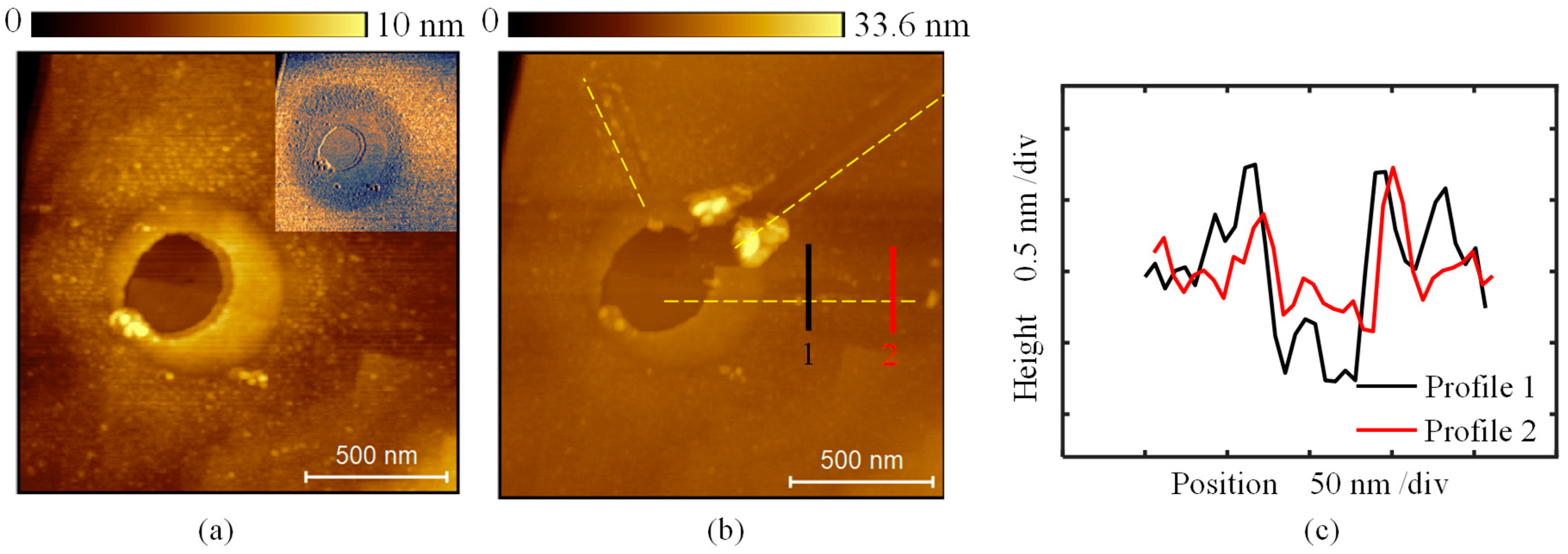 Micromachines 16 00981 g008