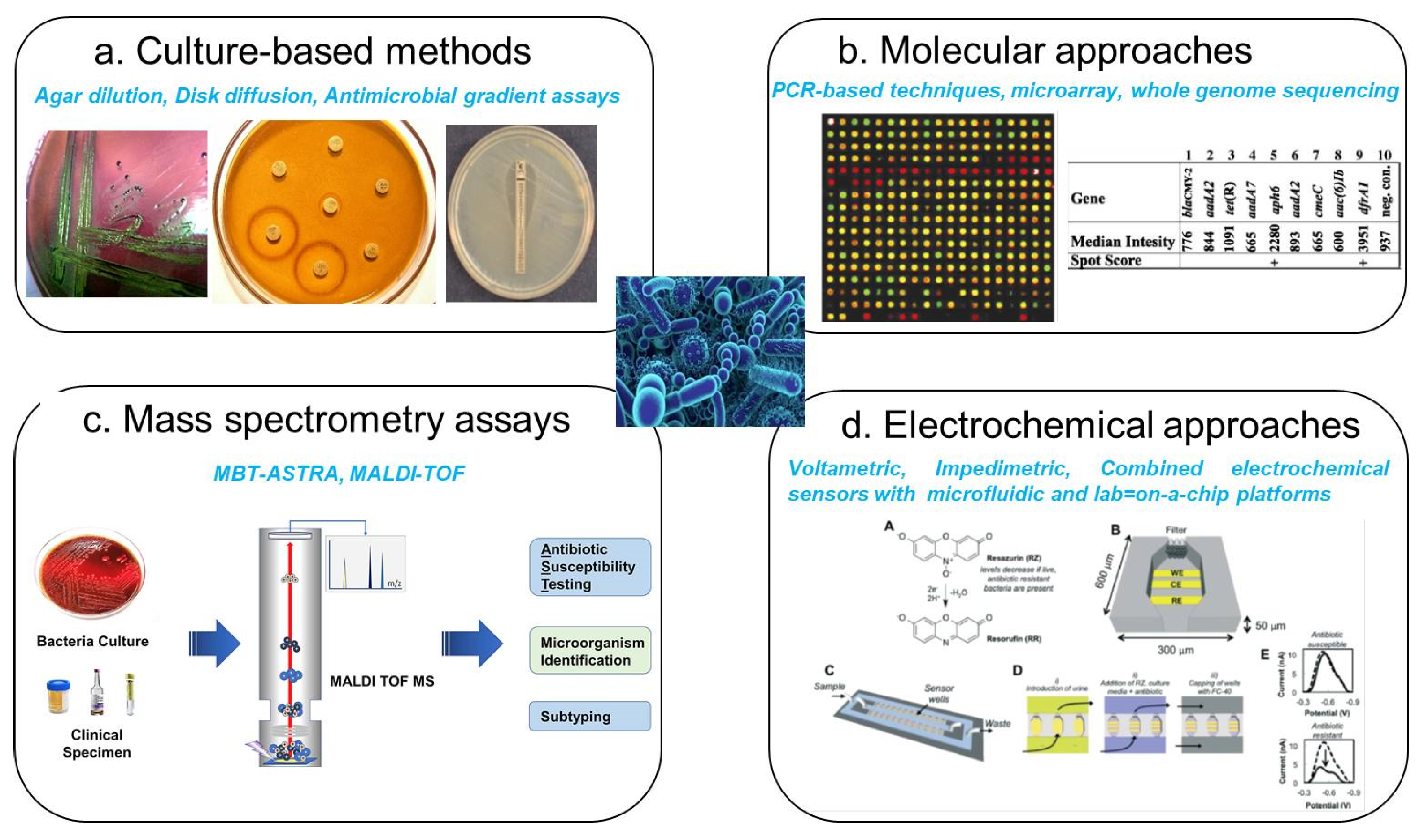 Micromachines 16 00986 g002