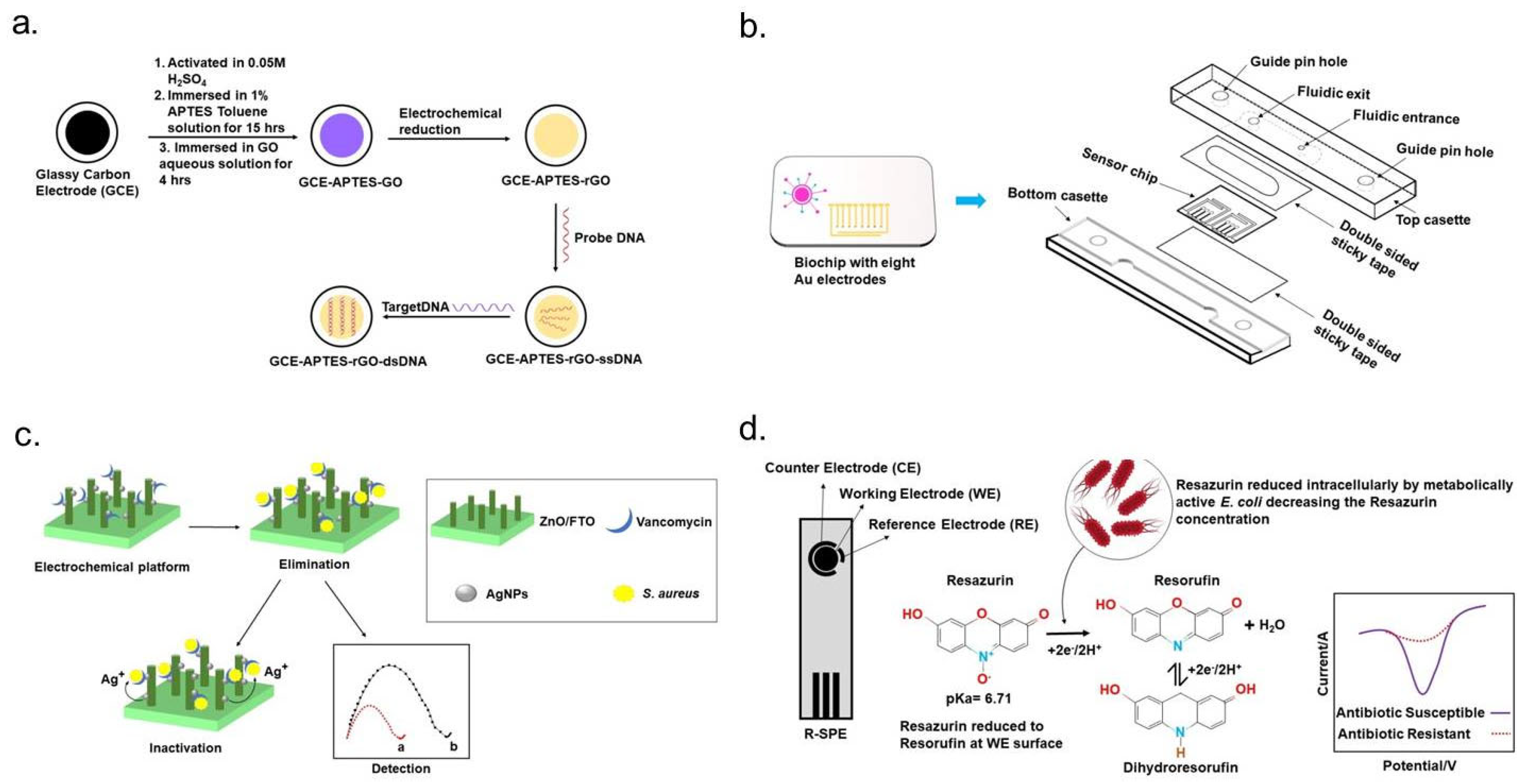 Micromachines 16 00986 g005