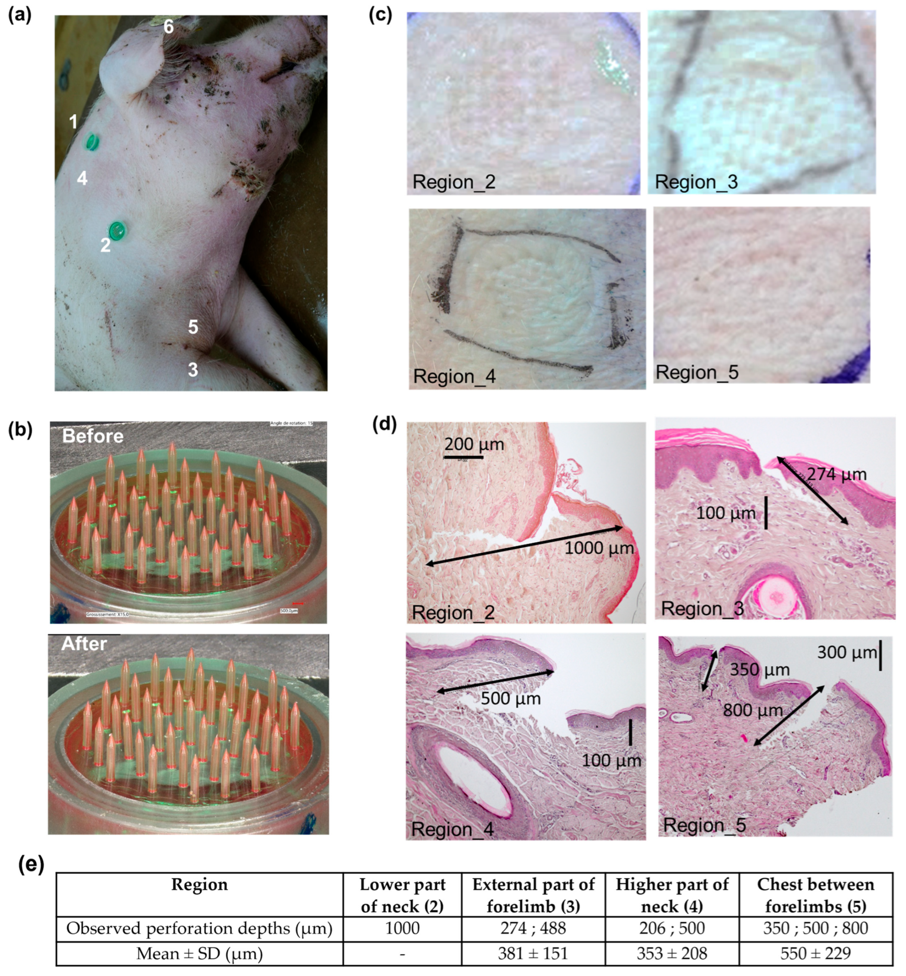 Micromachines 16 01015 g007