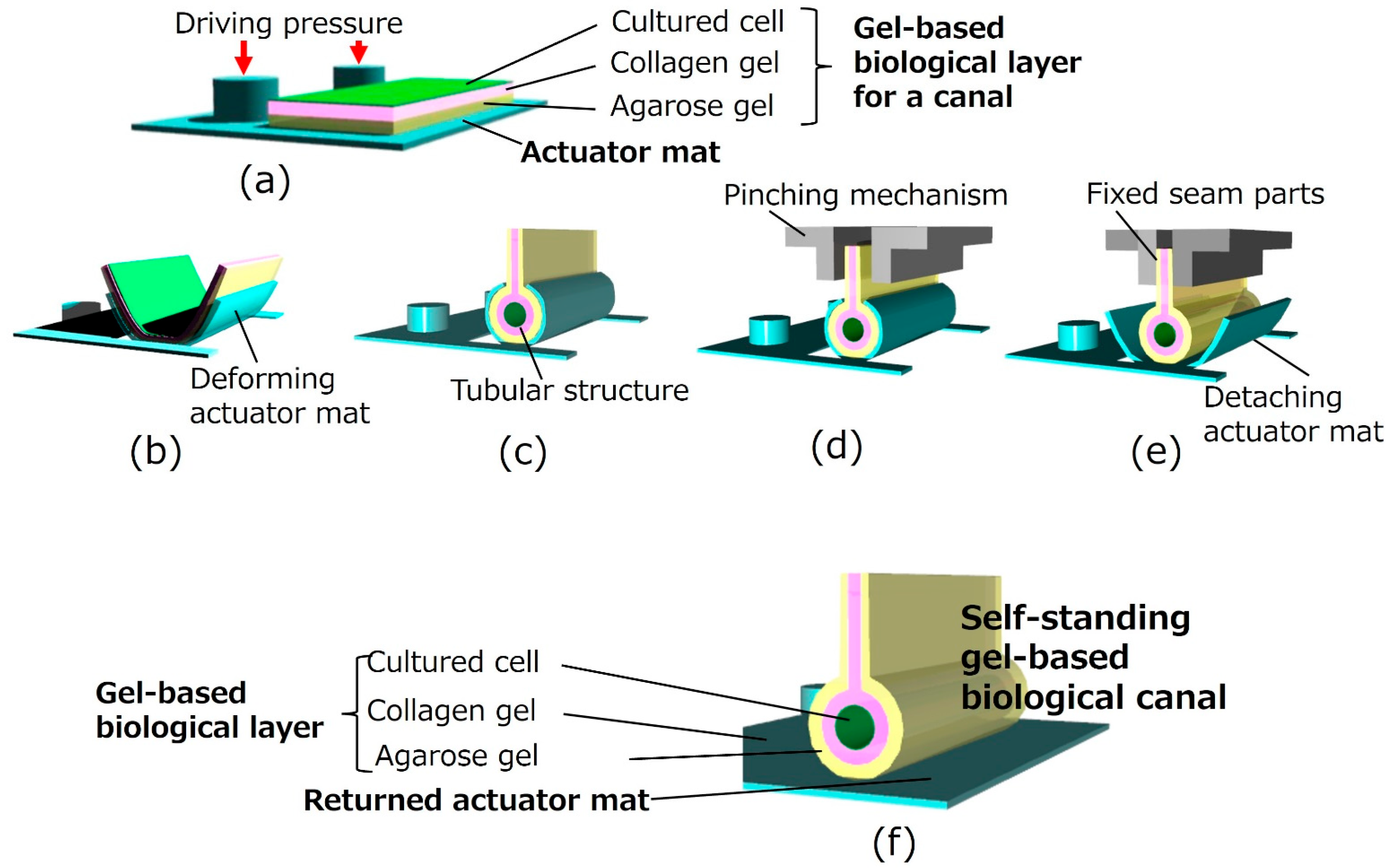 Micromachines 16 01019 g002 Micromachines 16 01019 g002