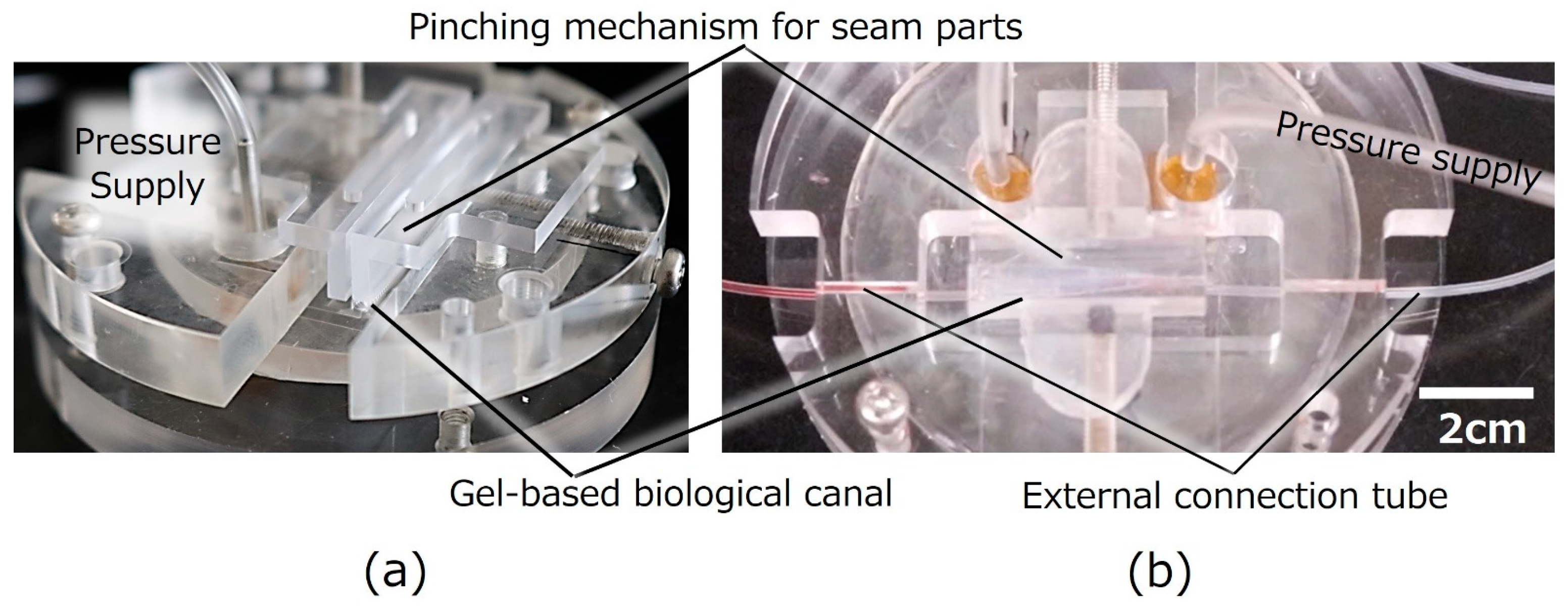 Micromachines 16 01019 g003 Micromachines 16 01019 g003