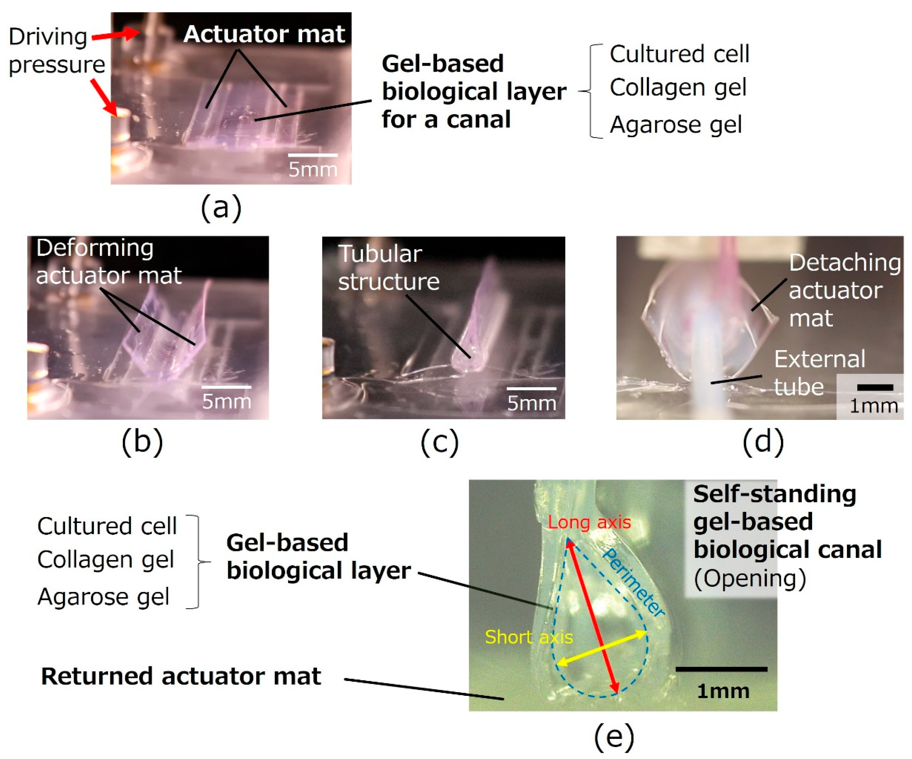 Micromachines 16 01019 g005 Micromachines 16 01019 g005