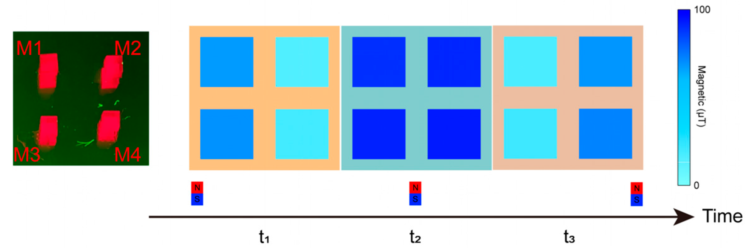 Micromachines 16 01021 g009