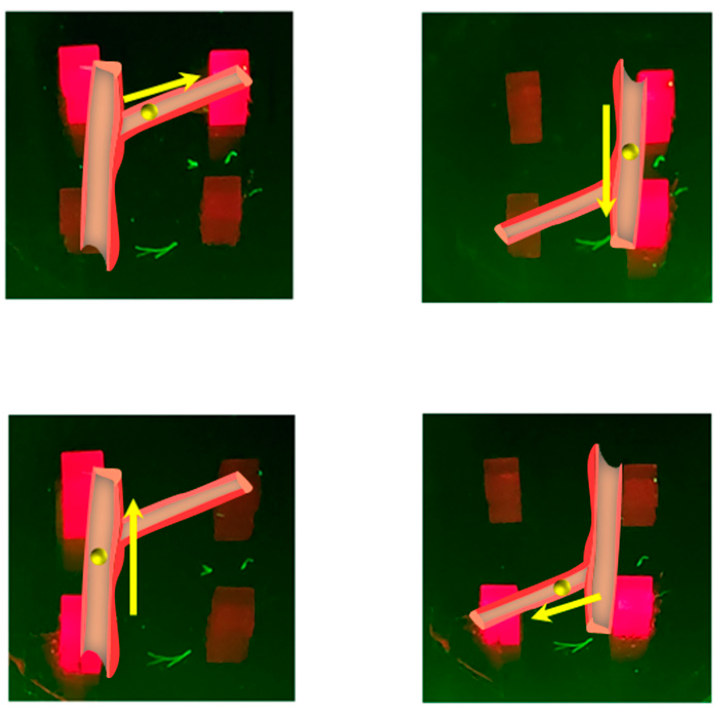 Micromachines 16 01021 g010