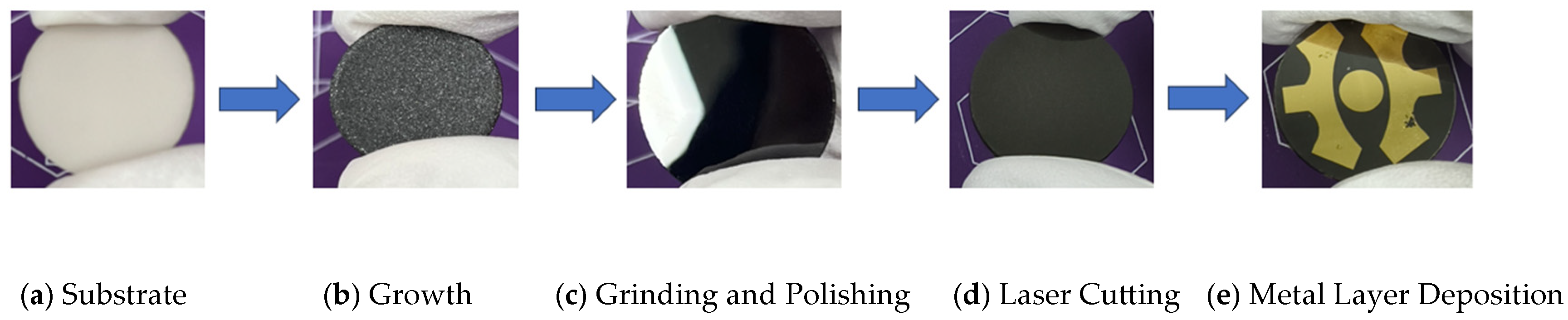 Micromachines 16 01029 g001