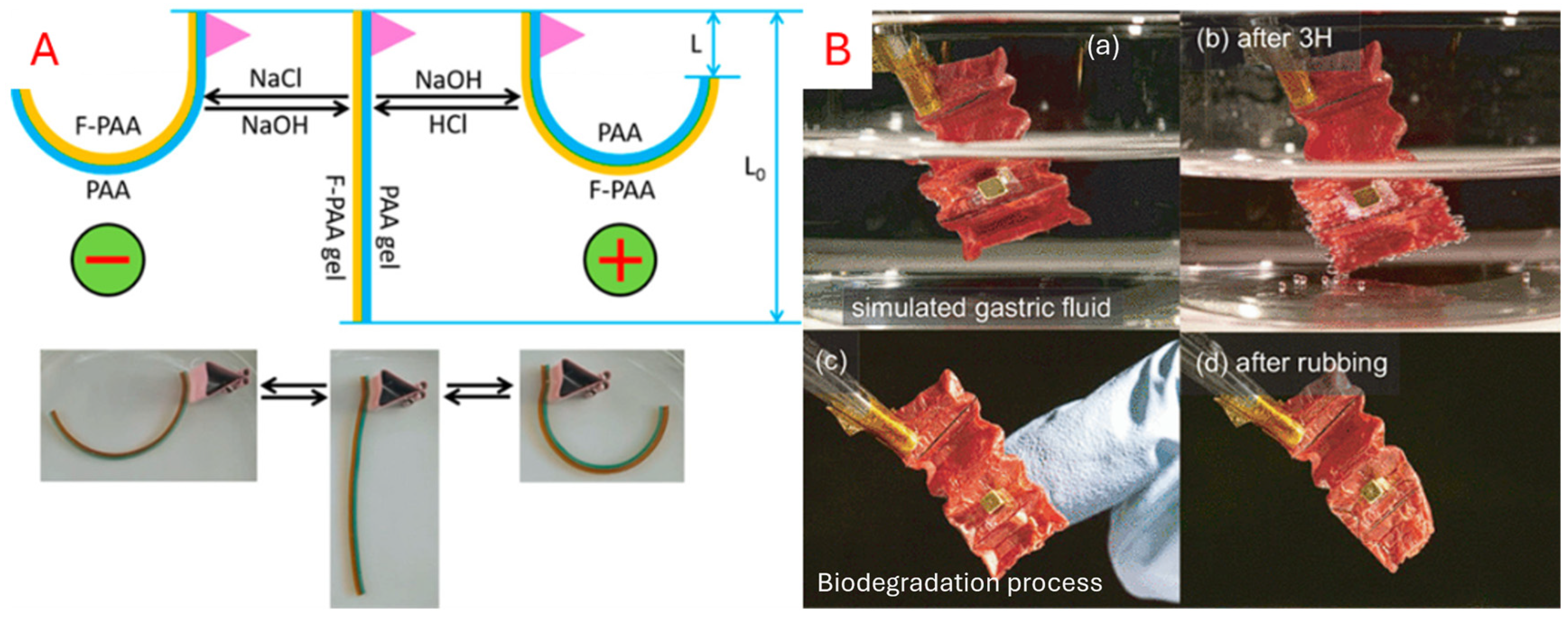 Micromachines 16 01047 g013 Micromachines 16 01047 g013