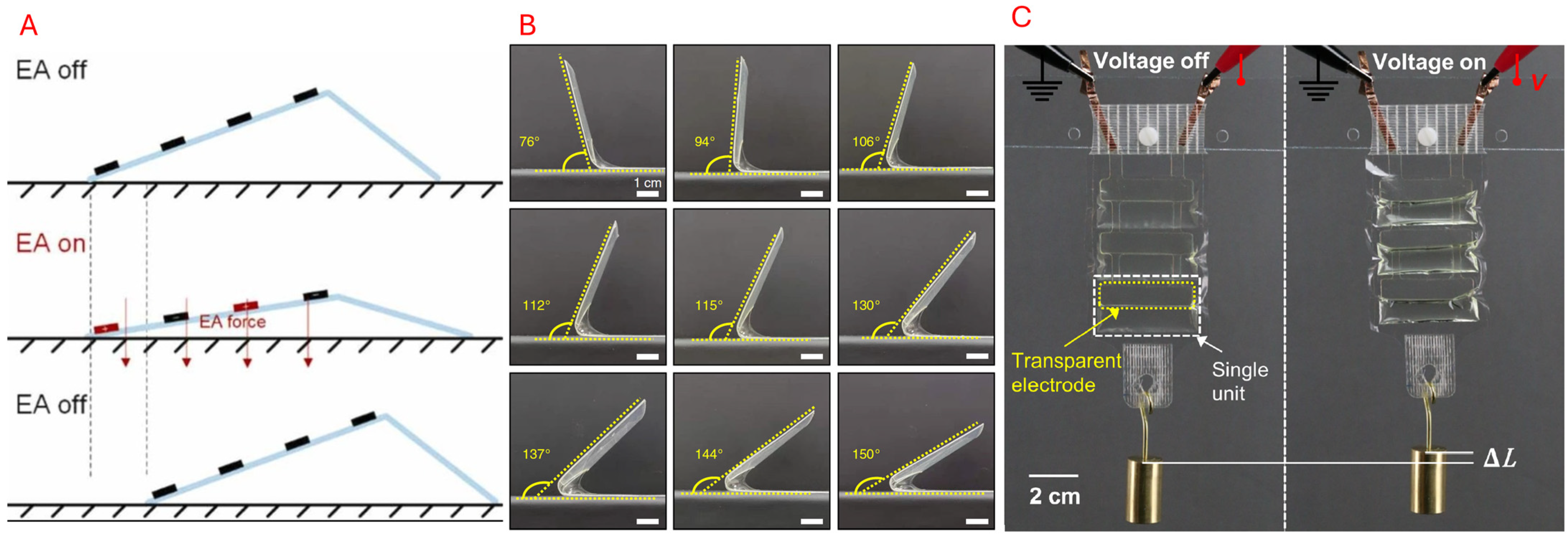 Micromachines 16 01047 g015 Micromachines 16 01047 g015