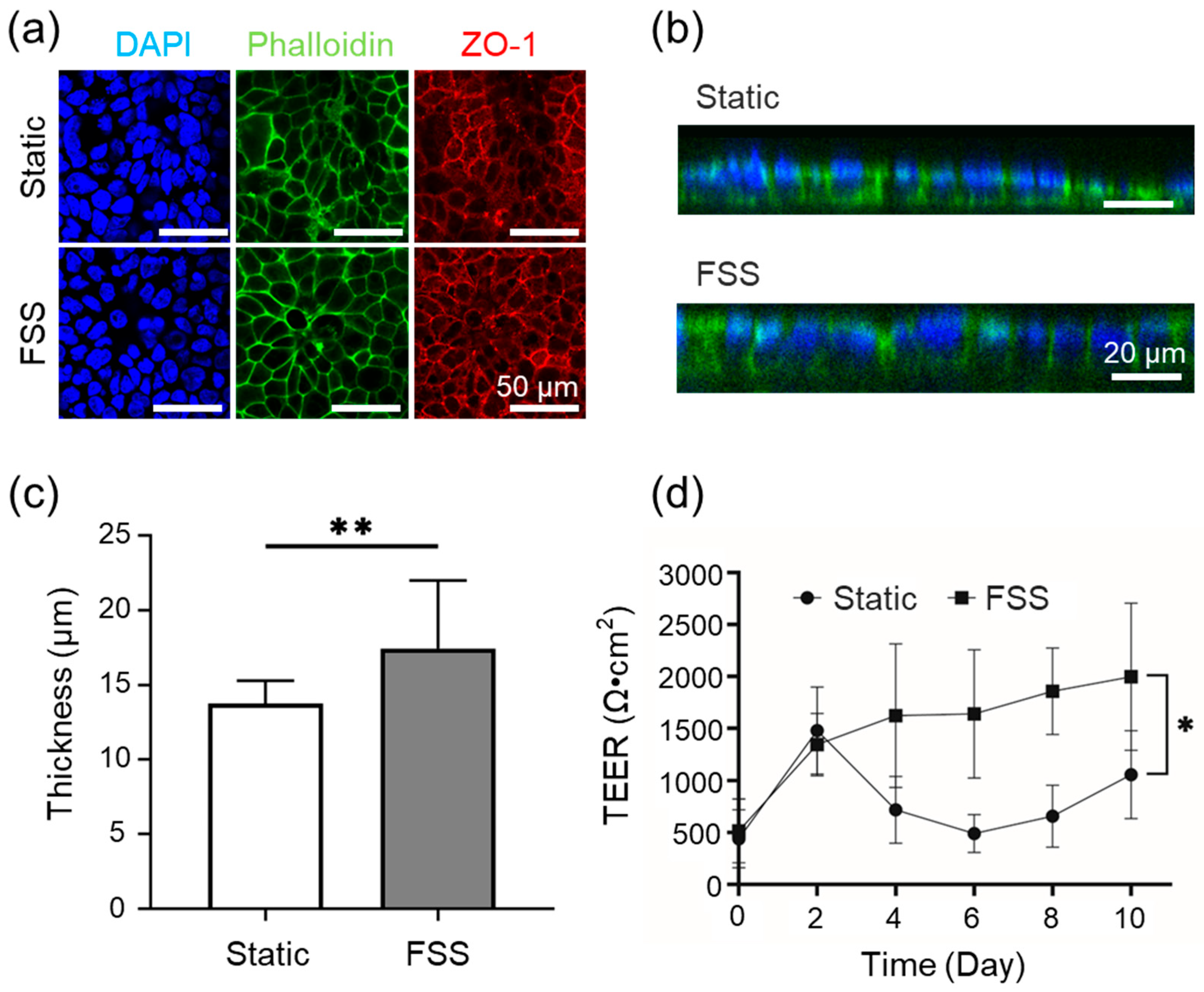 Micromachines 16 01051 g004