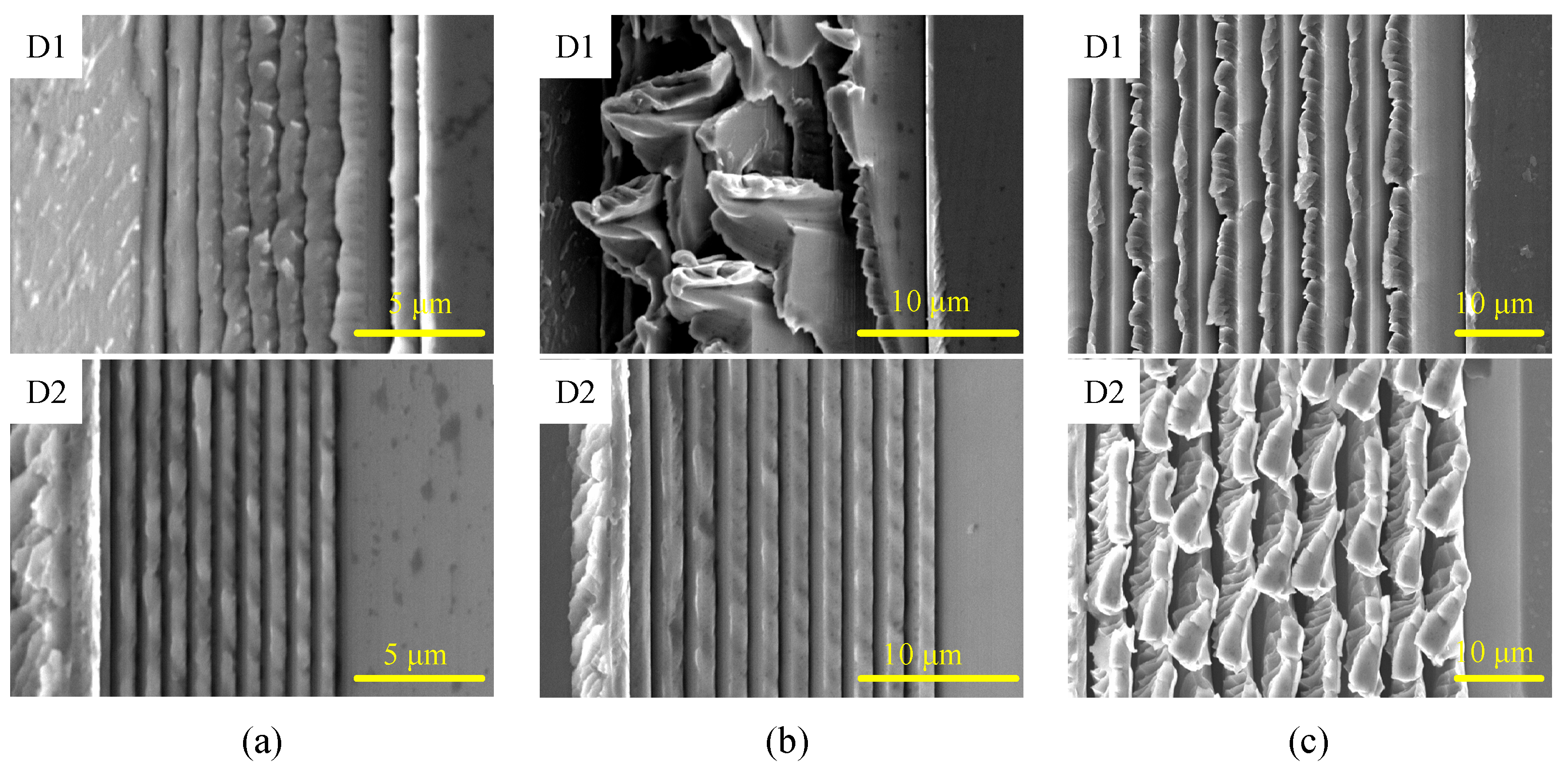 Micromachines 16 01059 g011