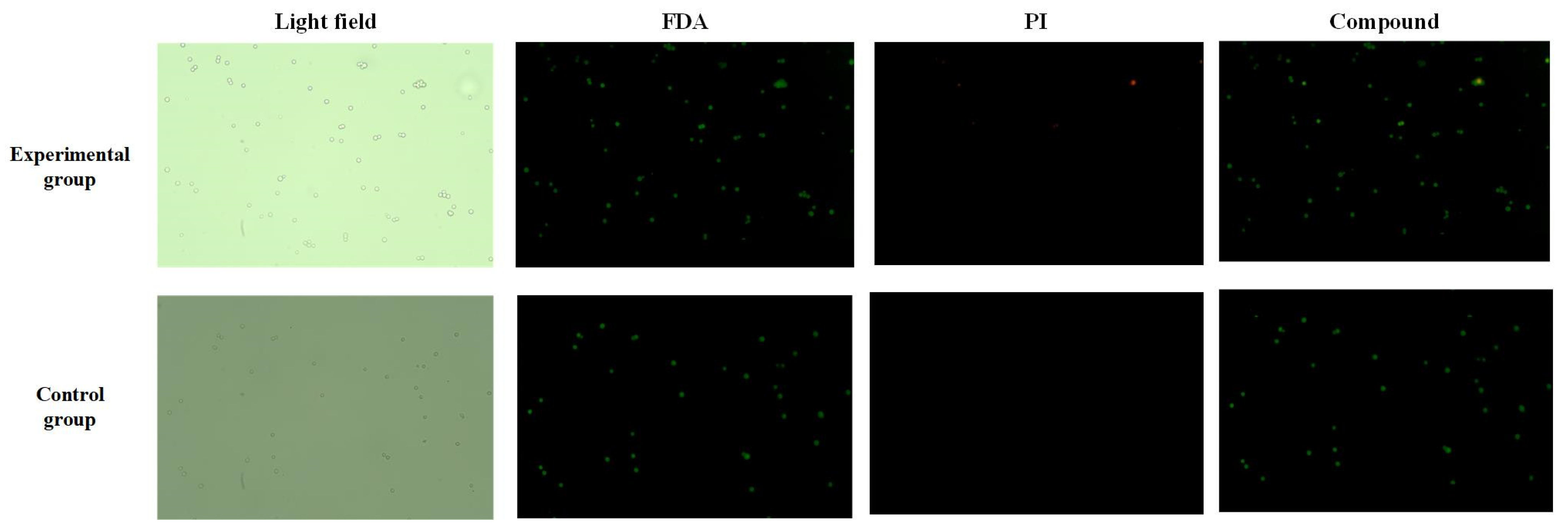 Micromachines 16 01068 g007