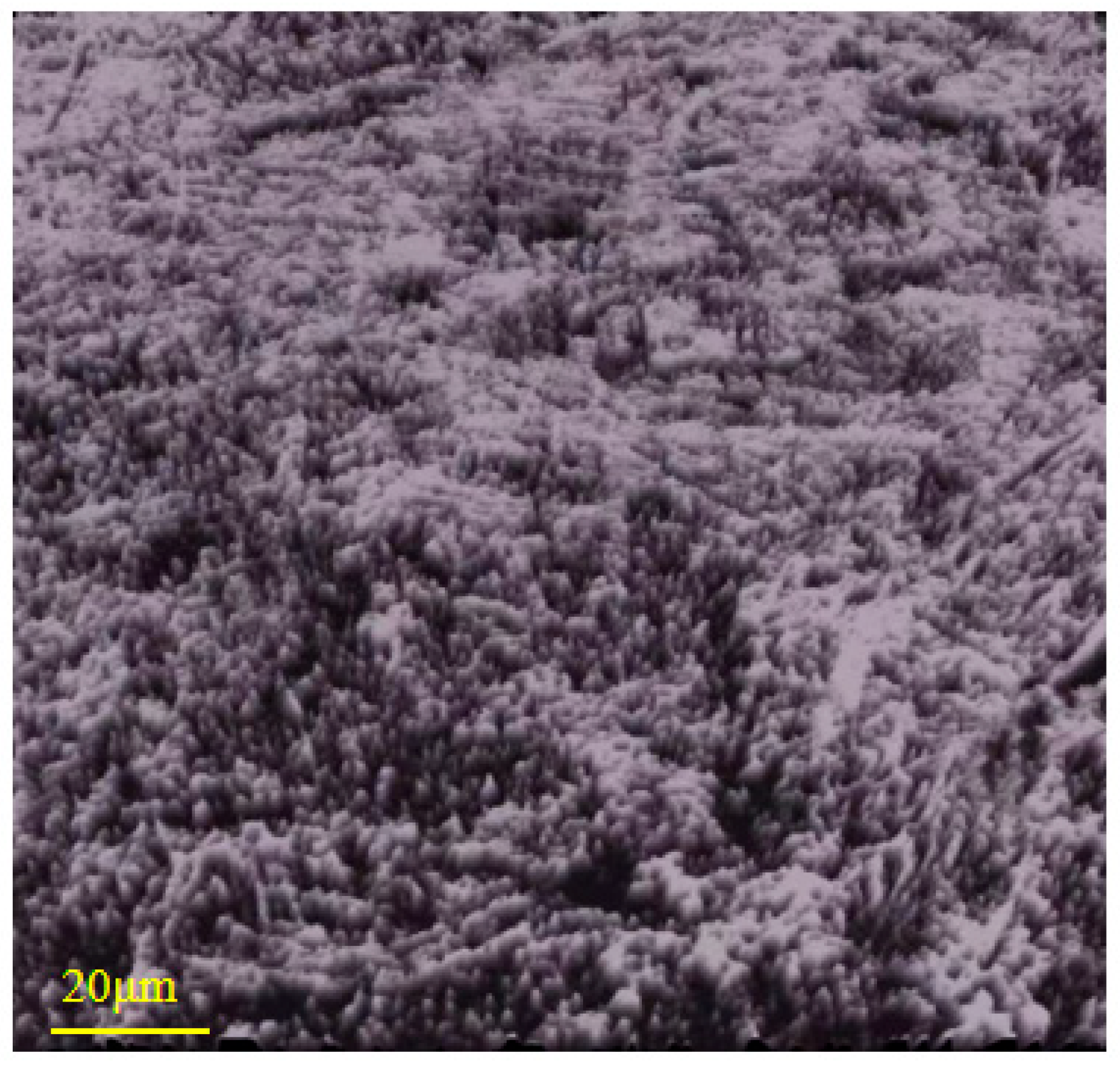 Micromachines 16 01071 g003 Micromachines 16 01071 g003